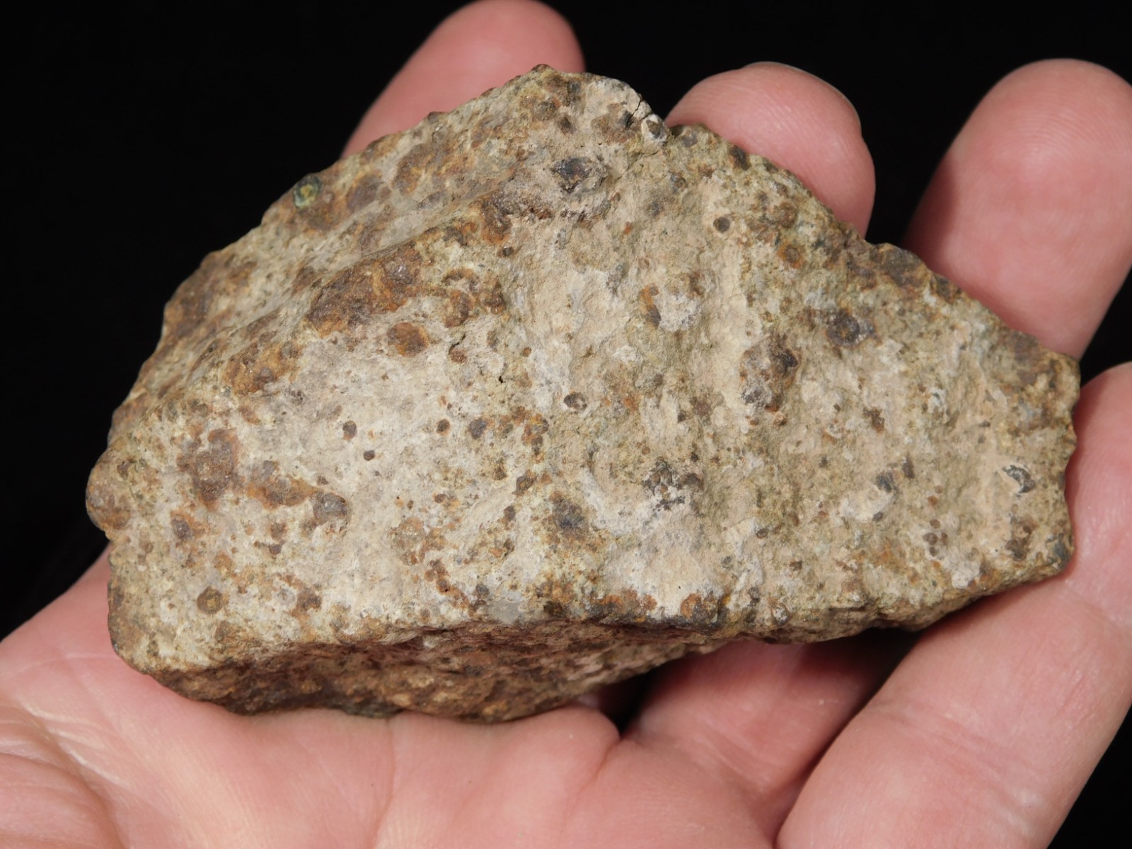 Larger! Classified NWA 8245 METEORITE 100% Natural! Erfoud, Morocco 223gr