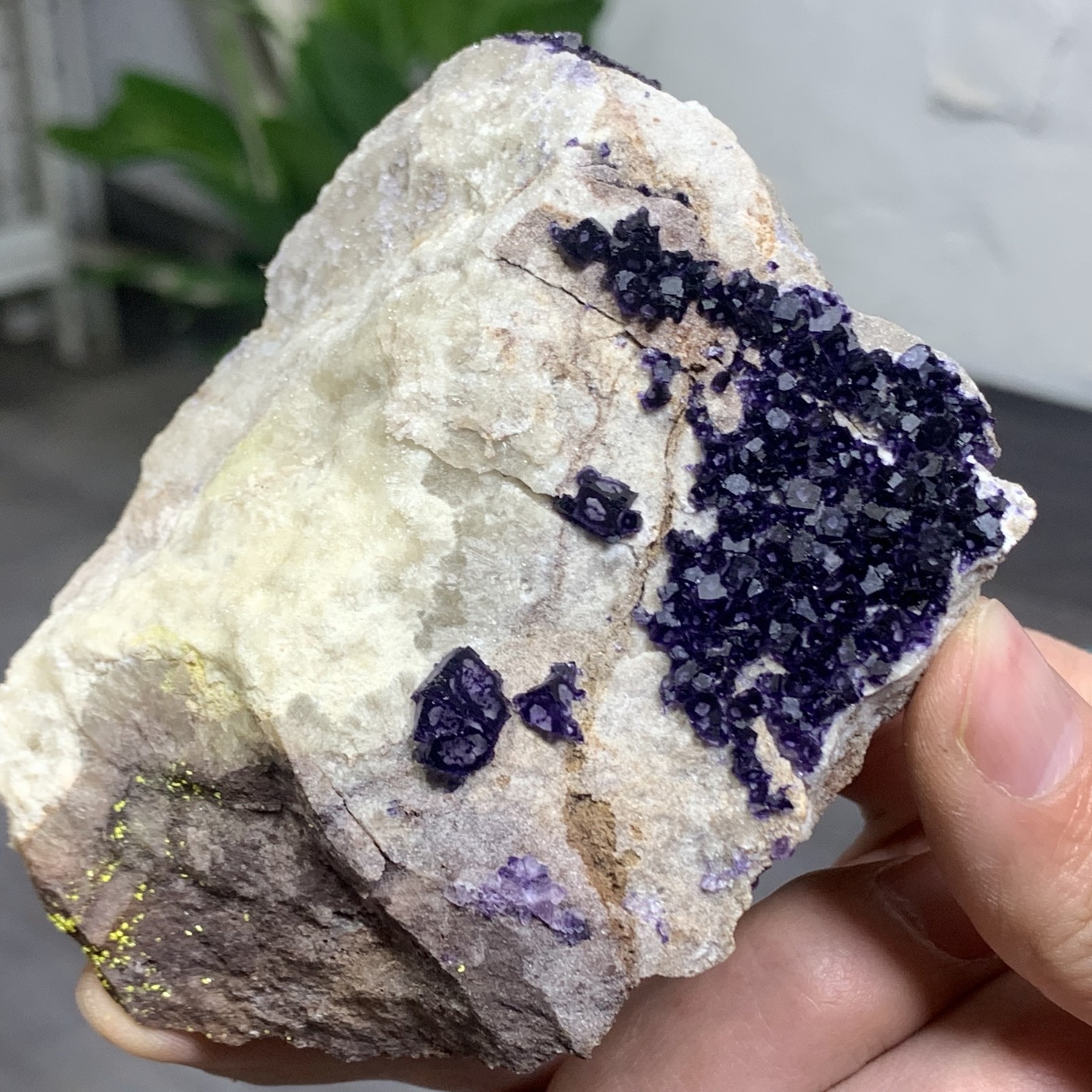 248G Rare transparent purple cubic fluorite mineral crystal sample/China