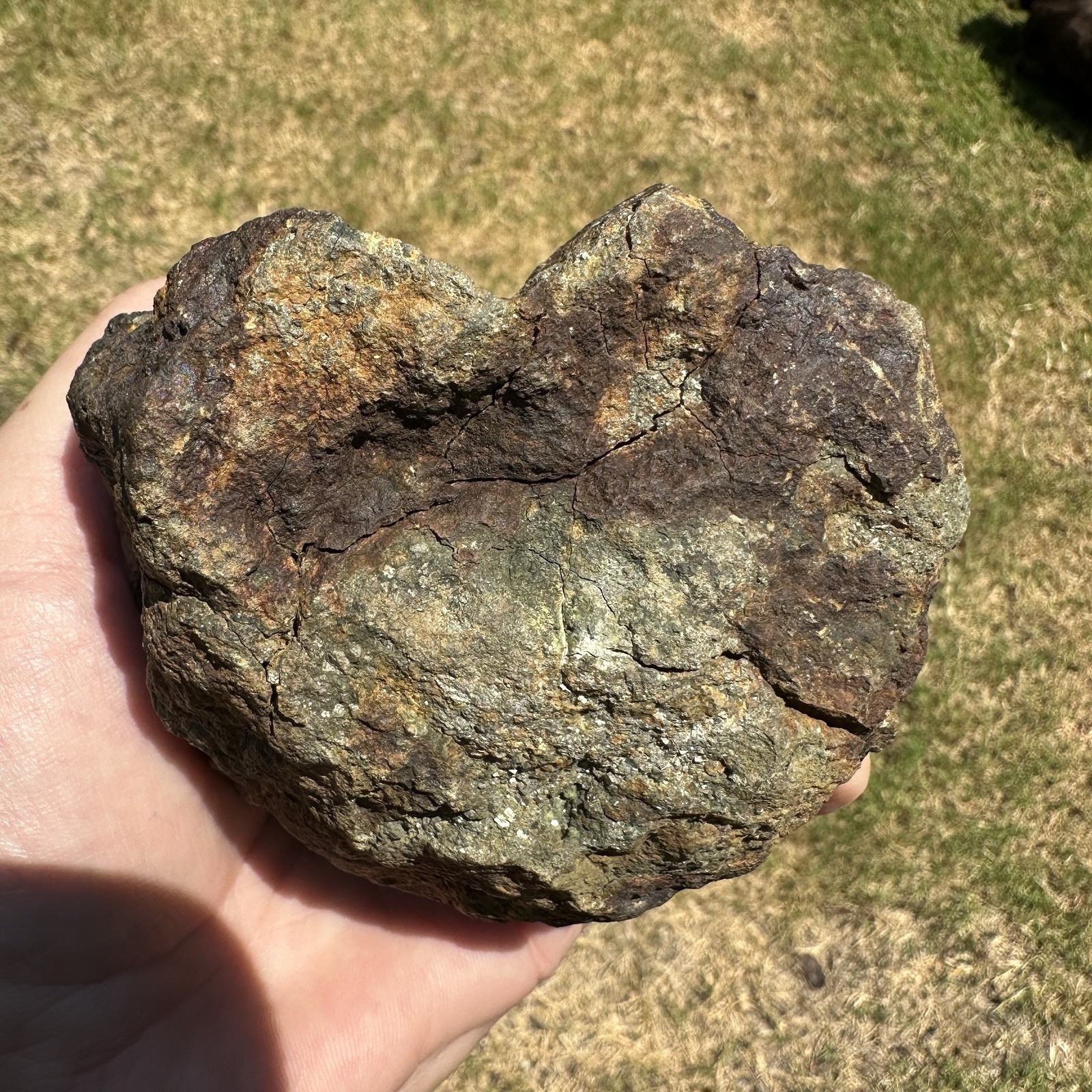 Mt Skukum Pyrite Nodule 3.75 Inch Collector Mineral Rock Specimen Yukon 1076.3g