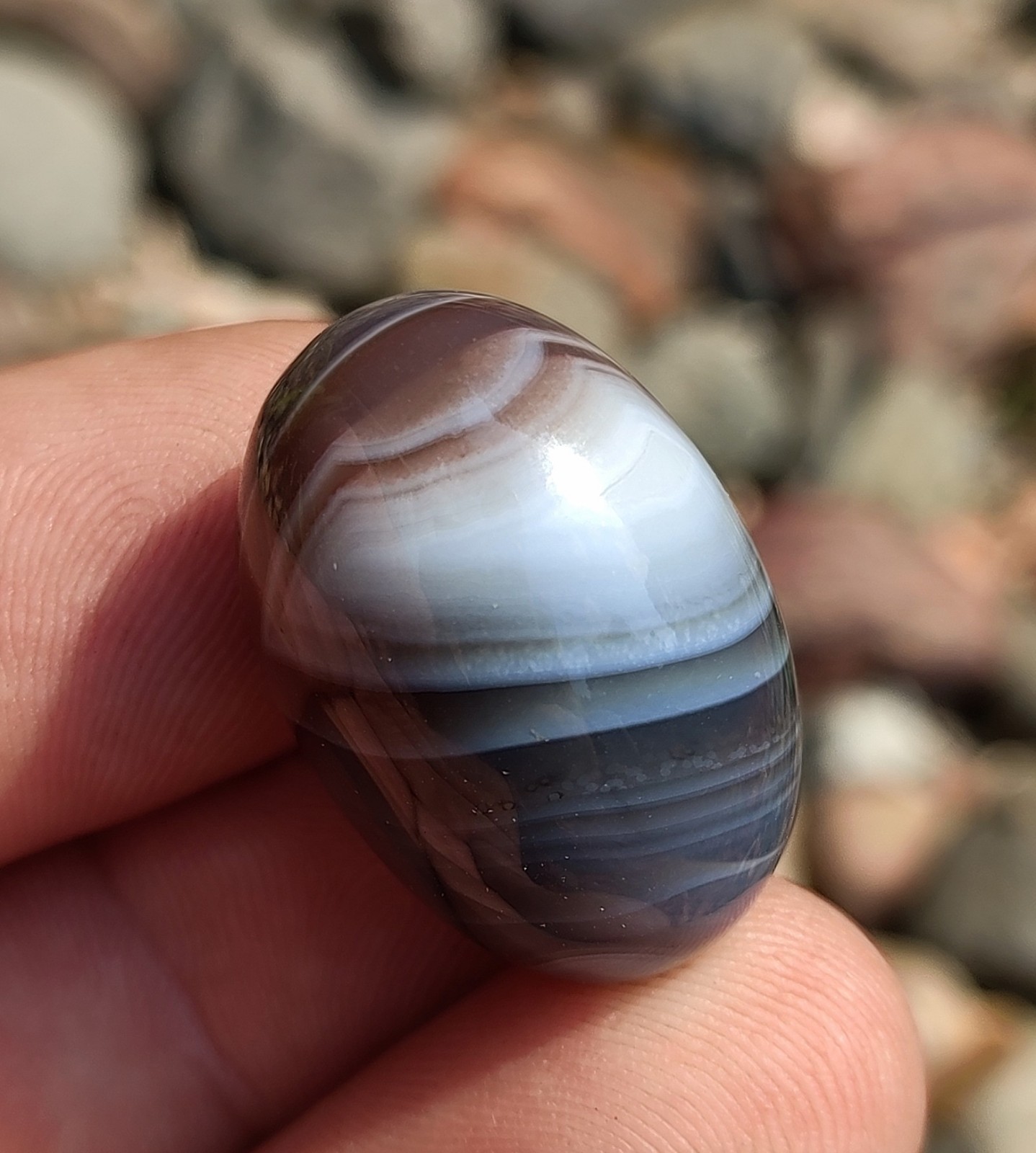 Natural Persian Agate, Polished 18g Mixed Color , Banded Persian Agate