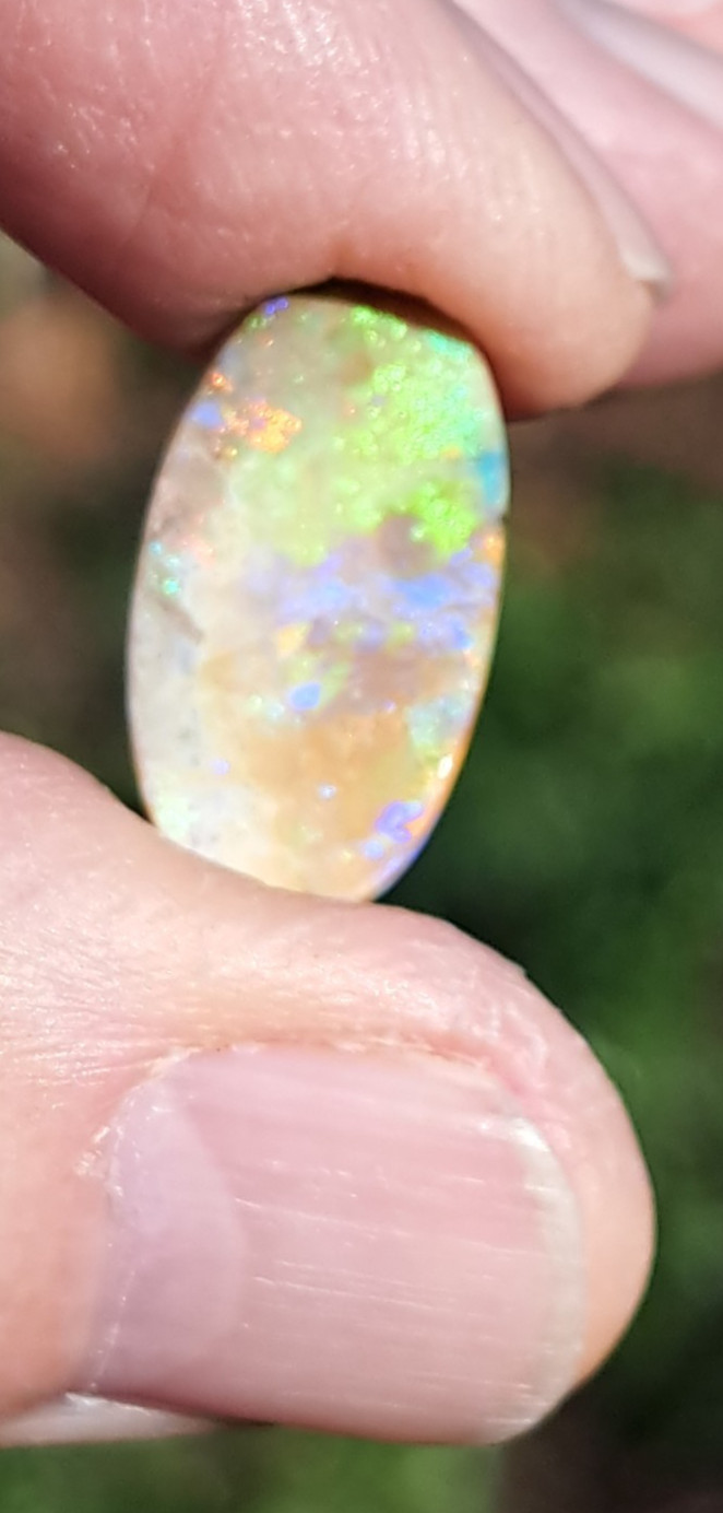 Large Multicolor Andamooka Hard Matrix Double Sided Carbonized Polished Colorful