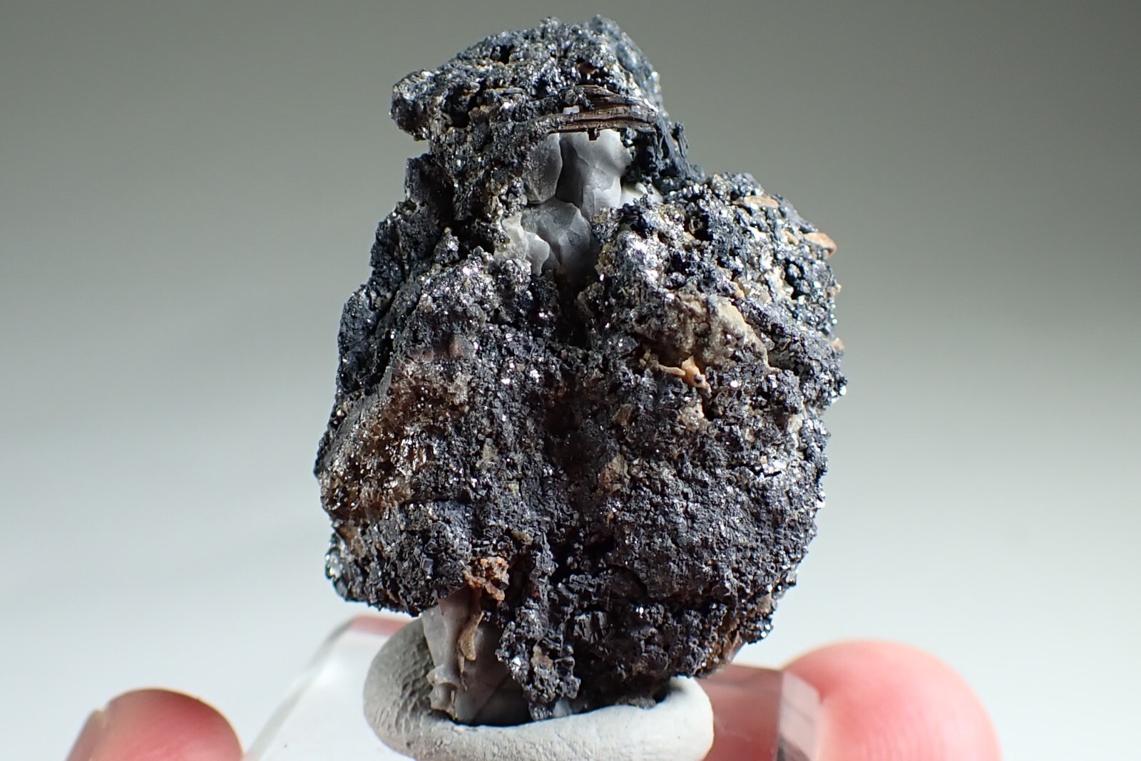 SILVER * WIRES ON CALCITE + GALENA * RARE LOCALITY !!! Trebsko, CZECH REPUBLIC