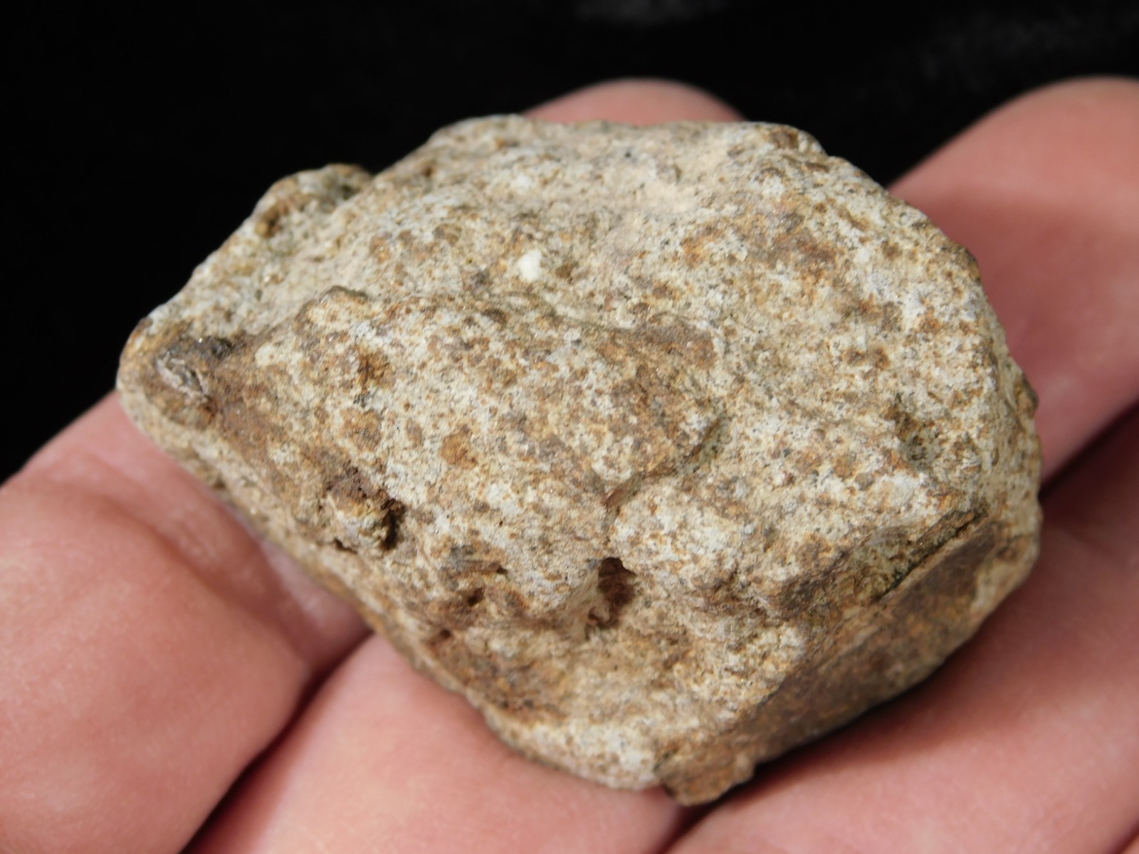 Classified NWA 8245 METEORITE 100% Natural FELL on Erfoud, Morocco 68.0gr
