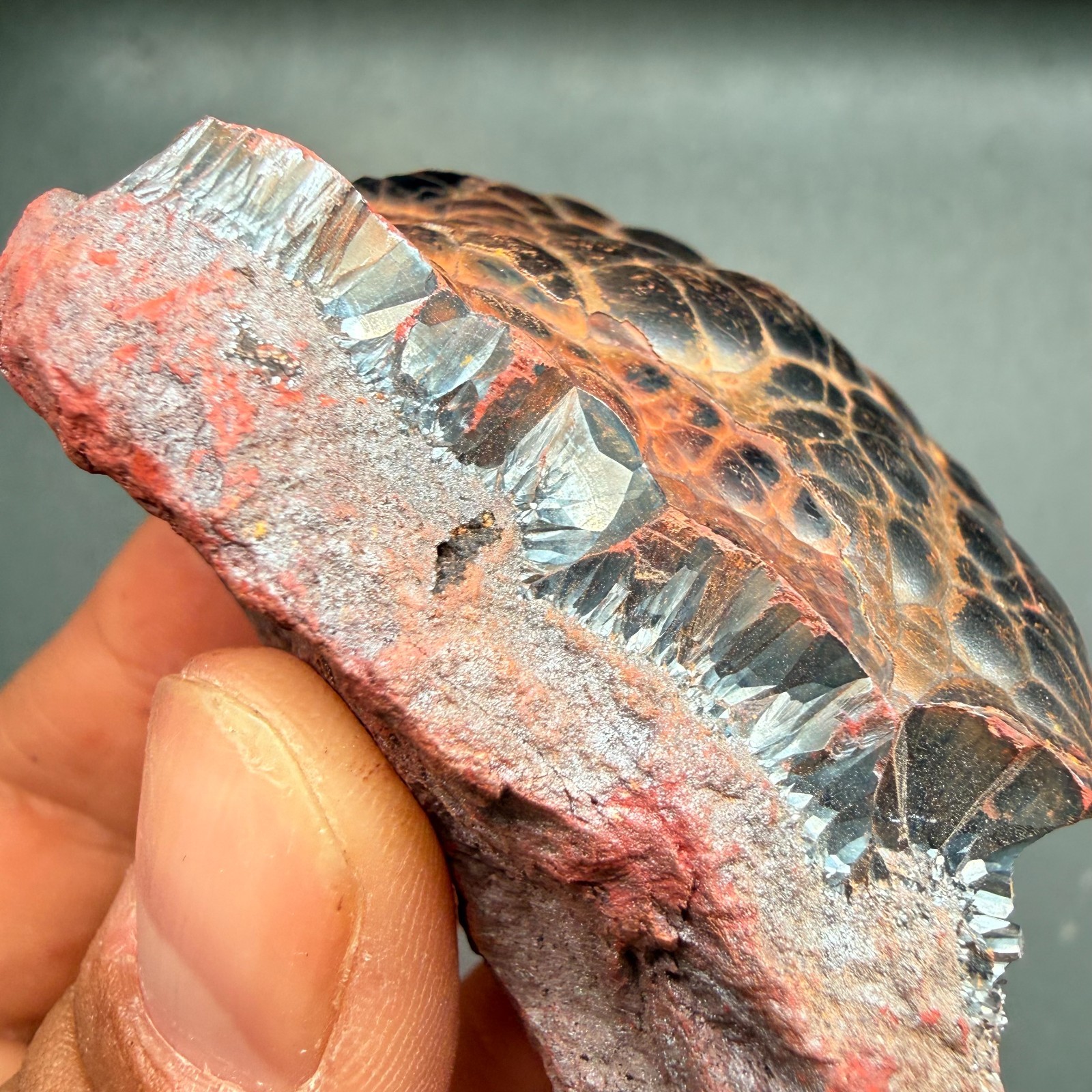 Botryoidal Hematite Specimen from Morocco 185g – Natural Iron Rose Formation
