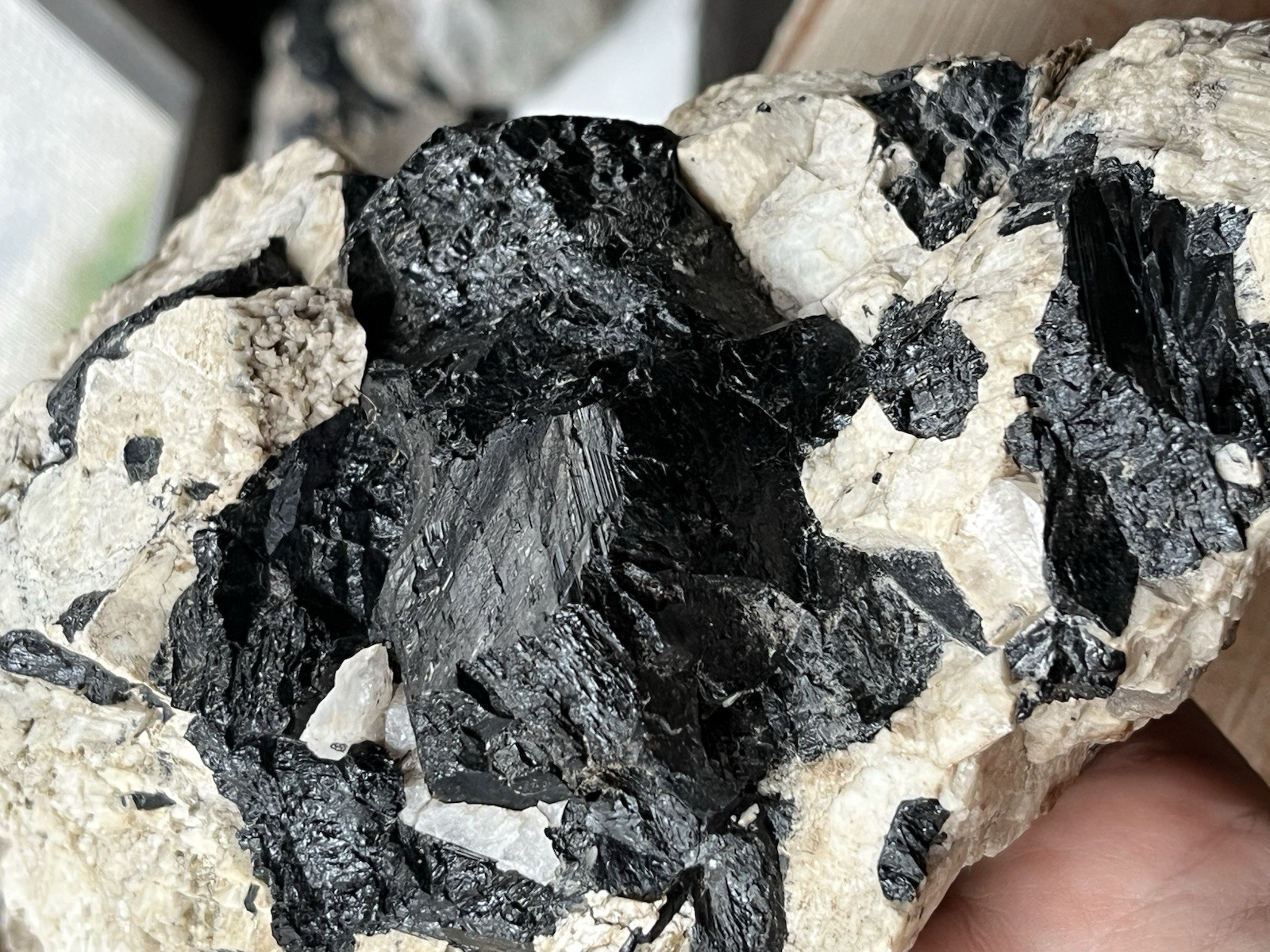 HUGE 6lb 9” Black Tourmaline Schorl Crystals In Matrix Maine USA Locality Quartz
