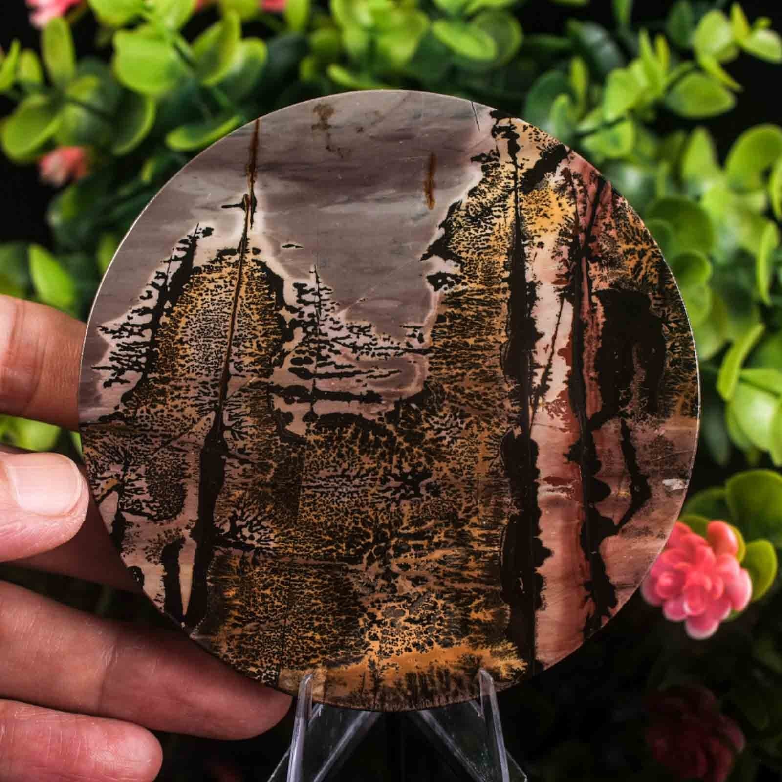 Picture Jasper Slab Natural Stone Display Crystal Specimen w/Stand 3.7″ 4.4oz