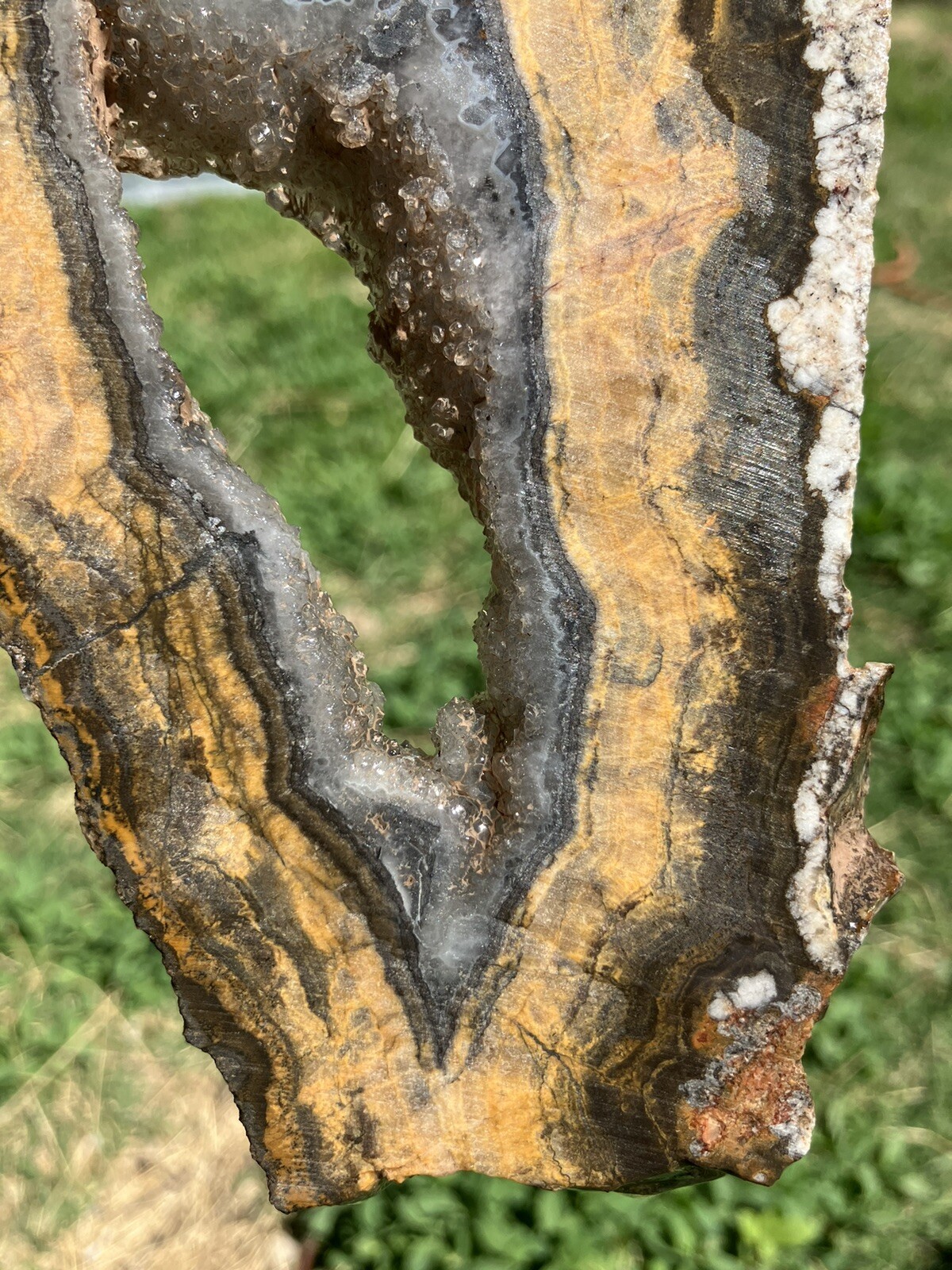 Black And Gold Agate Slab (New Mexico)