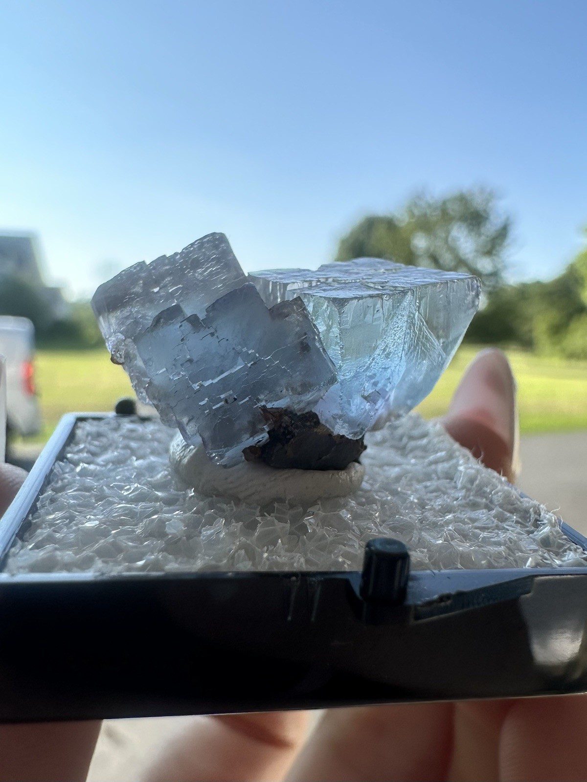Blue Fluorite, Minerva No. 1 Illinois