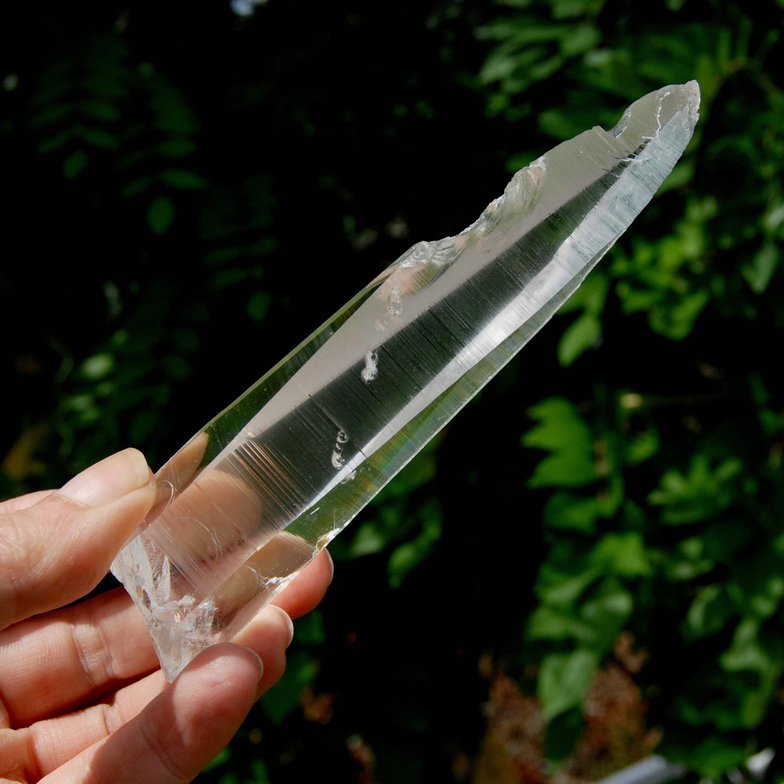Lemurian Crystal Laser Starbary – 5.25″ 111g Etched Optical Empathic Warrior Qua