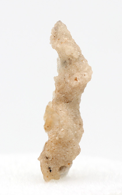 FULGURITE LIGHTNING GLASS FUSED SAND Desert Specimen SAHARA DESERT w/ ID card
