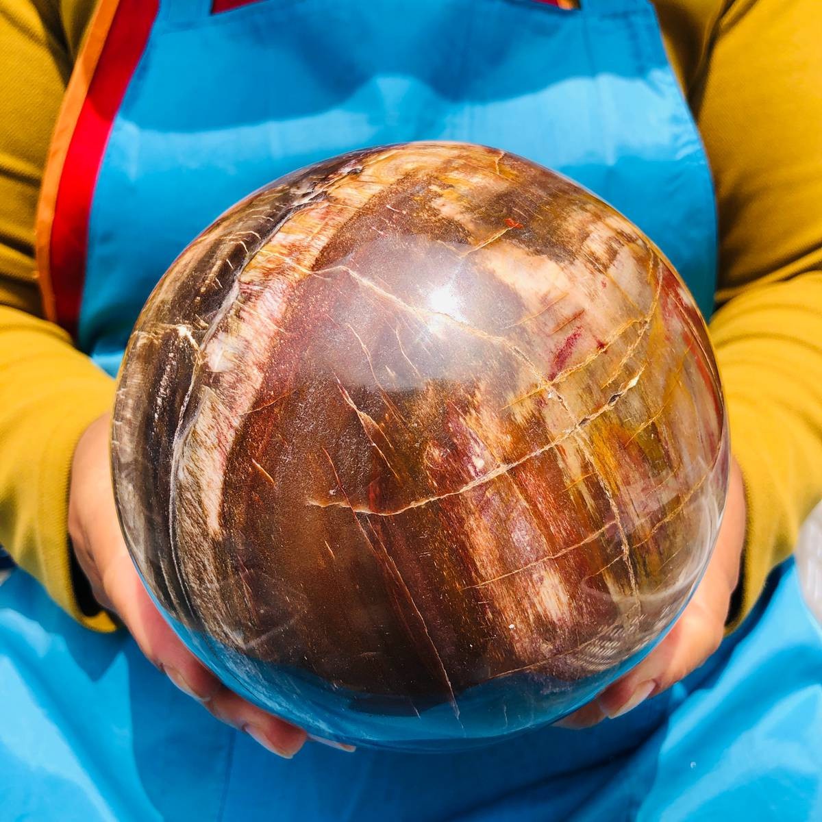 7.72LB Rare Natural Petrified Wood Ball Crystal Quartz Mineral Healing 4709