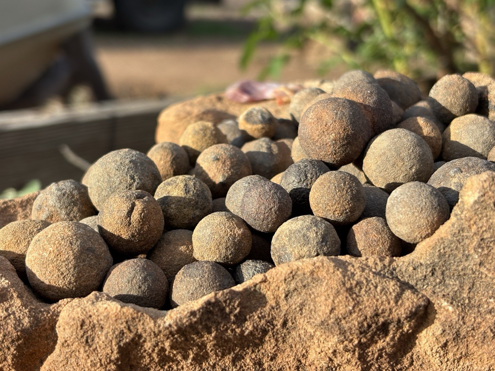☘️RR⛏️: Moqui Marbles/Shards On Sandstone Base High Desert Northeast Az. 6.75 Lb