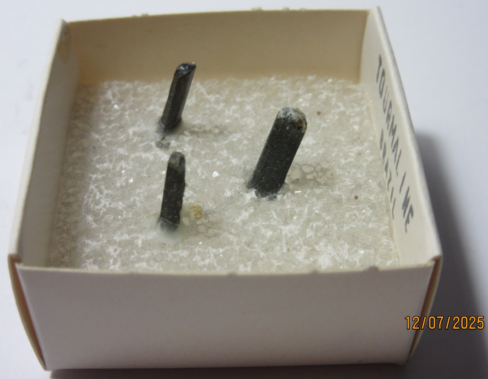 3 Green Tourmaline Crystals Brazil Thumbnail 1 5/8″ Display TGTCBTD-1s