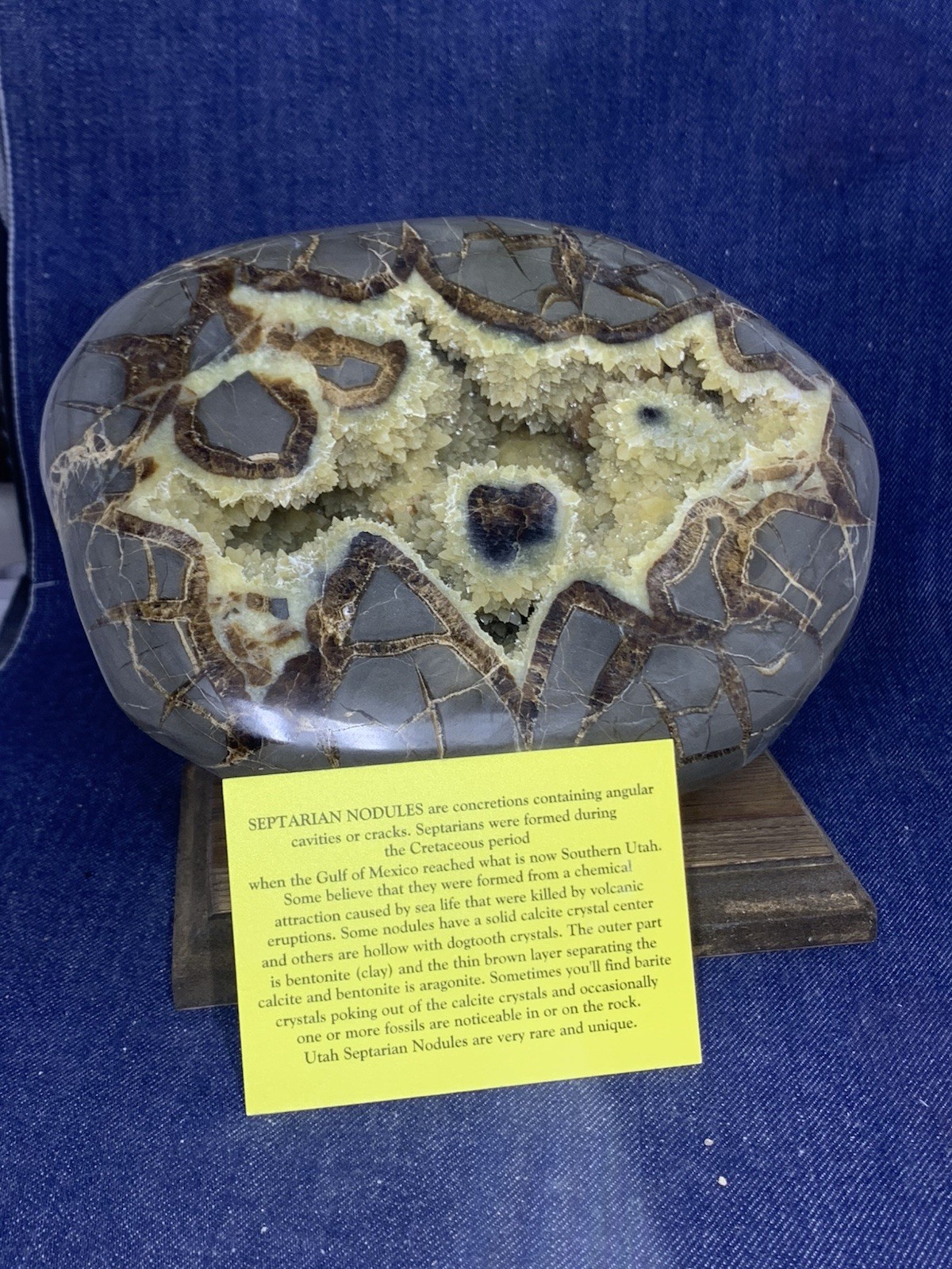 Septarian Nodule Dragon Stone Hollow Half ( Utah) Description Card, And Stand