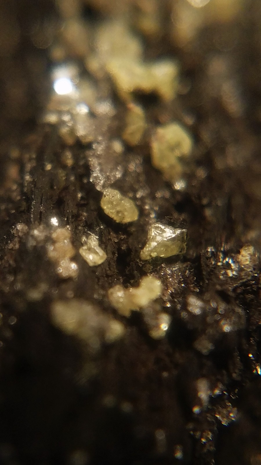 SiG: Tiny Light Pale Yellow Sulphur Crystals on Dark Matrix from Austria