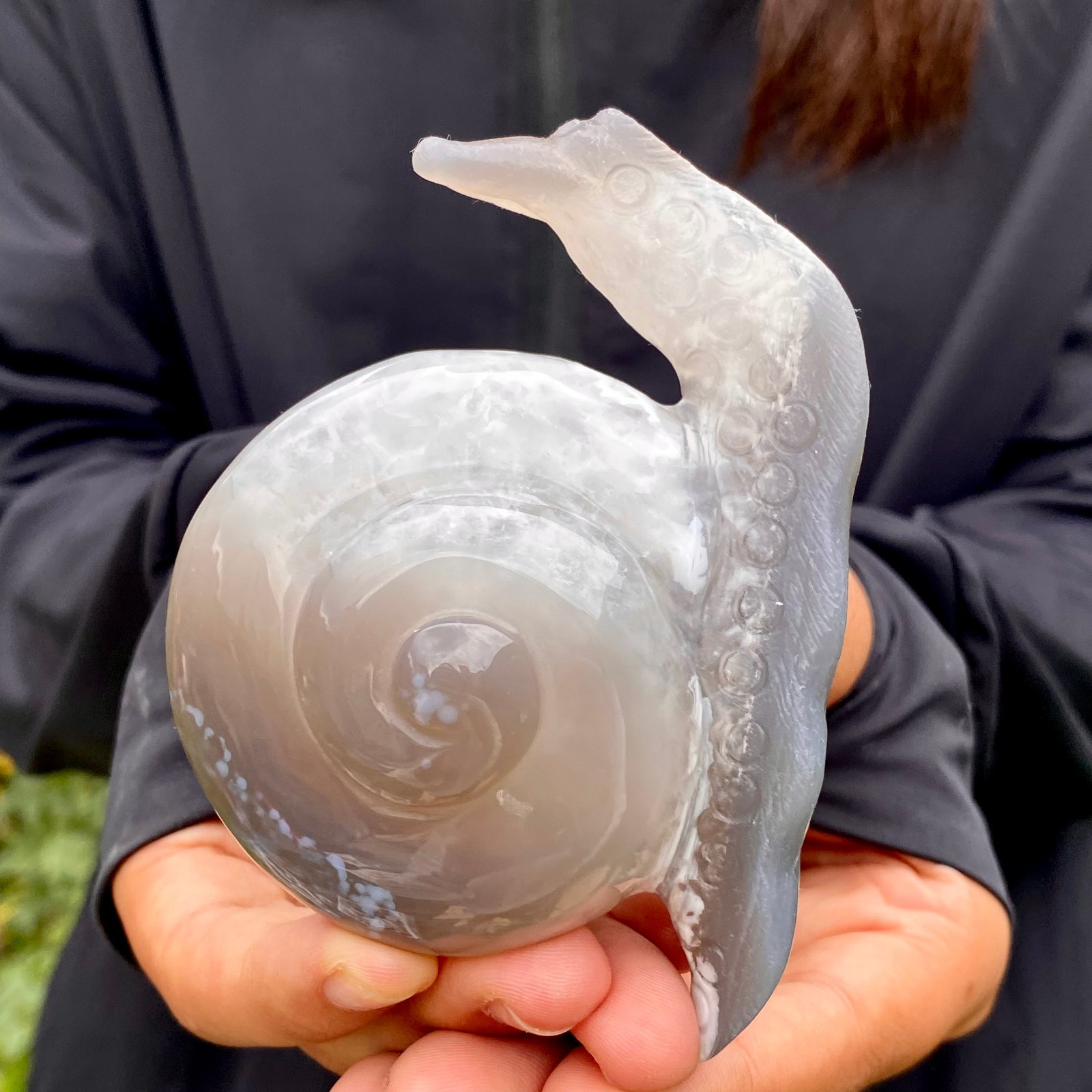 269G Natural Ocean Agate Snail Hand Carving Gemstone Ornament Home Decoration