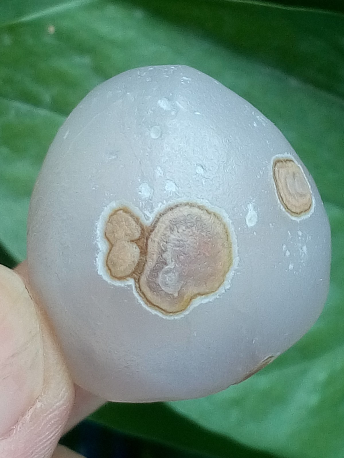 36mm Natural GoBi agate eye agate stone Polishing collection