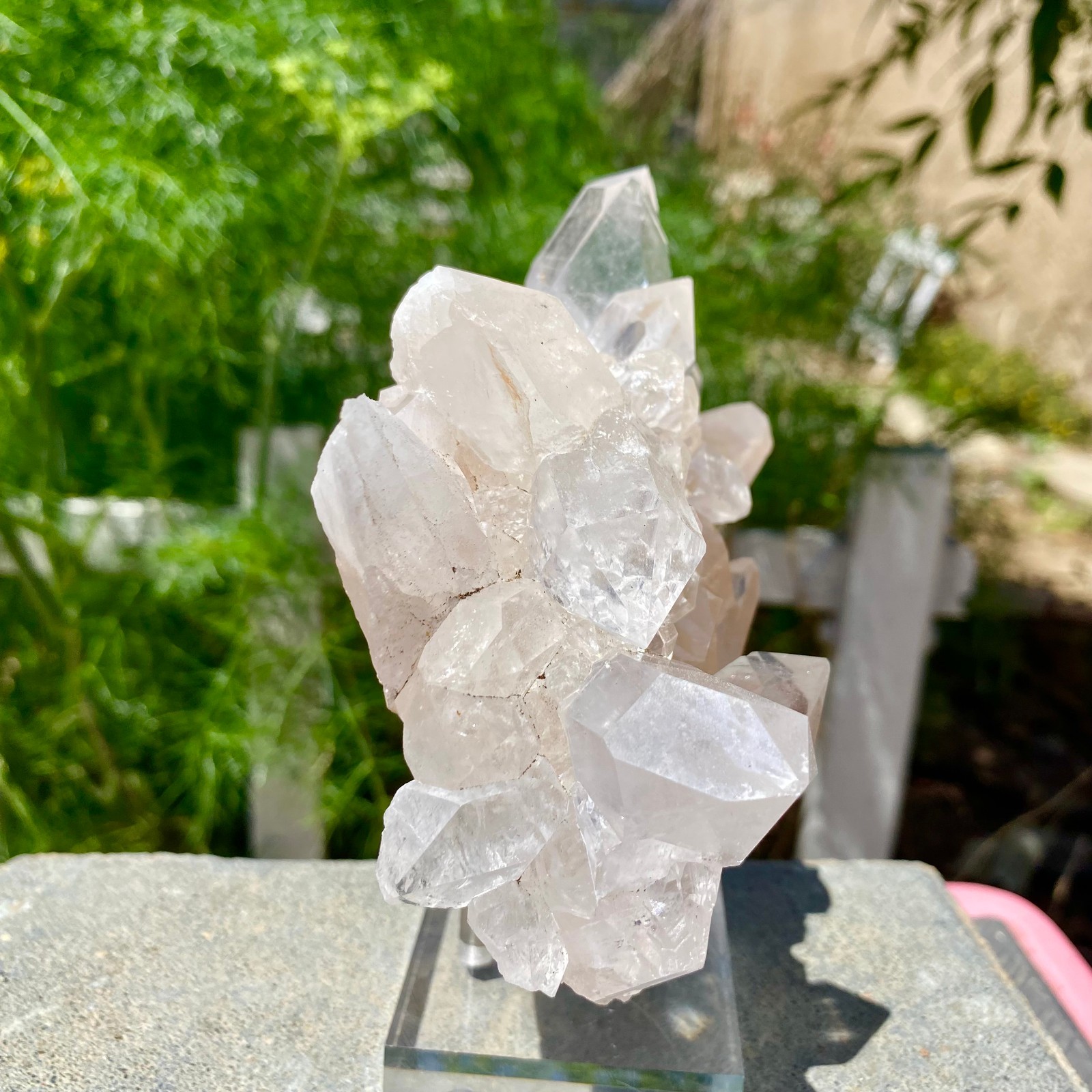 1.17LB Natural white Crystal Himalayan quartz cluster /mineralsls