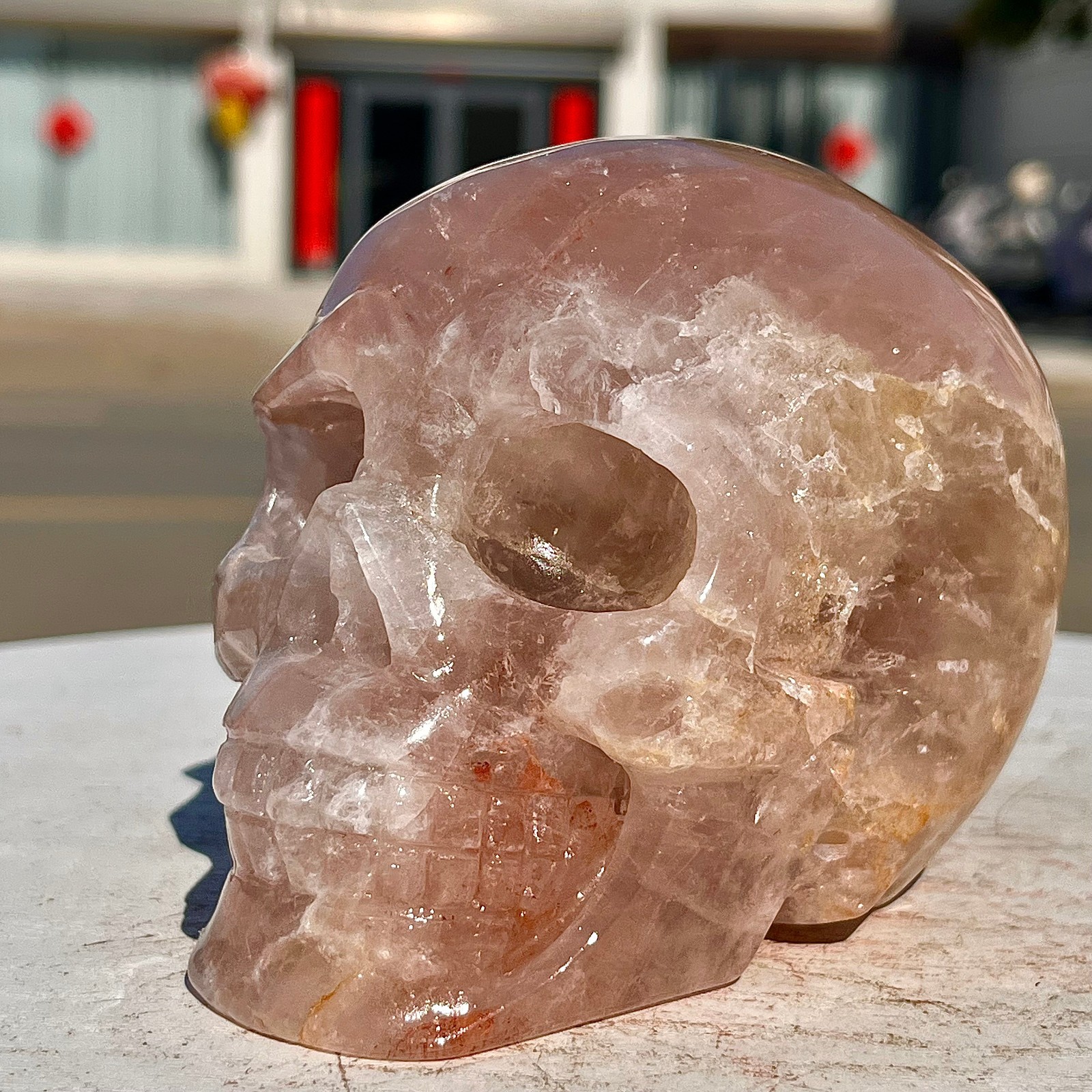 2.71LB Red Gum Flower Skull Carving | Handmade Carving | Healing Energy