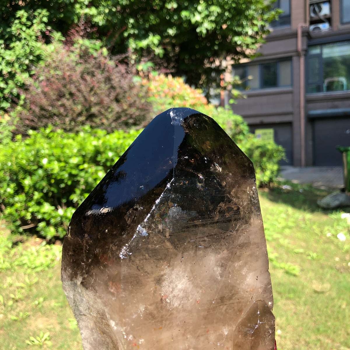 6.29LB Natural Dark tea quartz Crystal Specimen Reiki Mineral Add bracket 2526