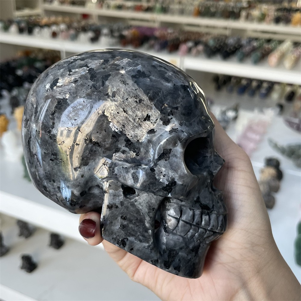 2.5LB 4.7″ Natural A++Gabbro Skull Carvings Decor Crystal Quartz Healing Reiki