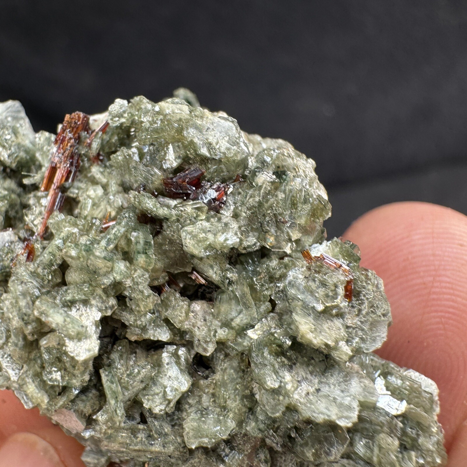 Lot of 4 Green Crystalized Mica Crystal Clusters with Rare Red Rutile Crystals