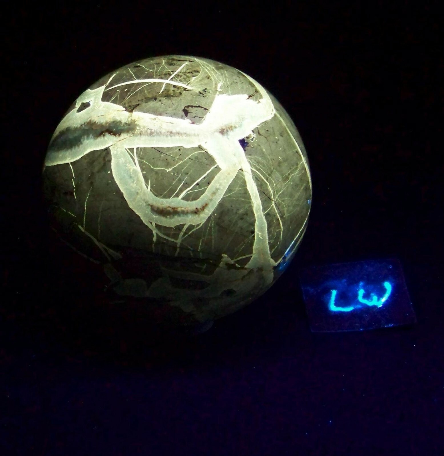 Fluorescent Septarian Nodule Sphere 76mm Collectible or Meditation Ball 4510