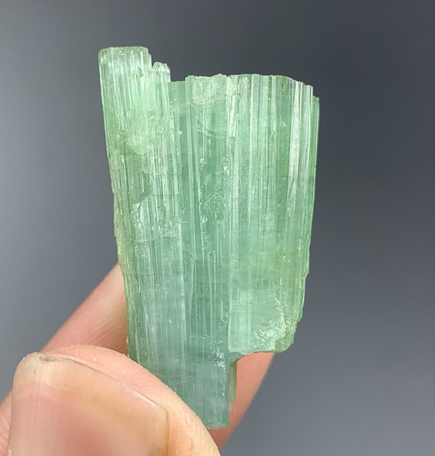 50 Cts Tourmaline Crystals Bunch With Specimen From Afghanistan.