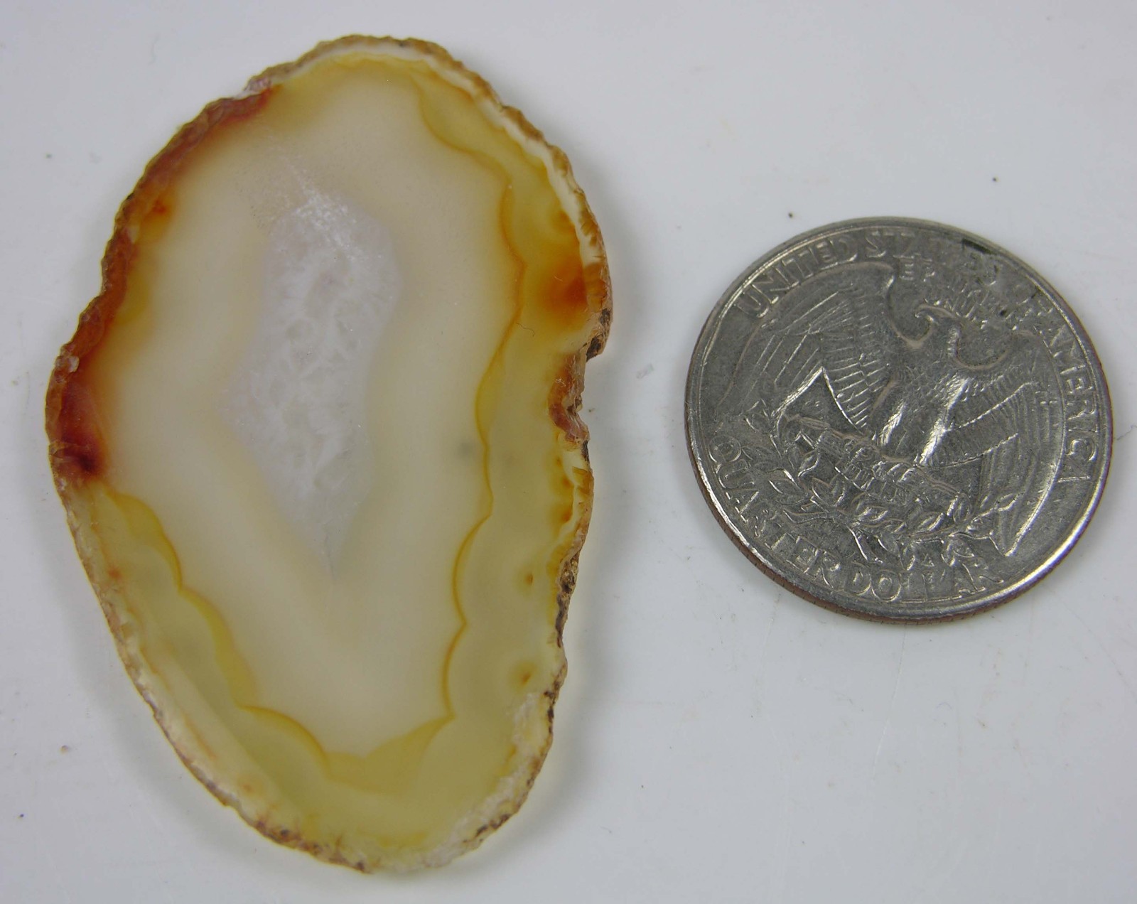 #1 1 7/8 in Natural Brazilian Yellow Geode Agate Crystal Slice Specimen 49mm