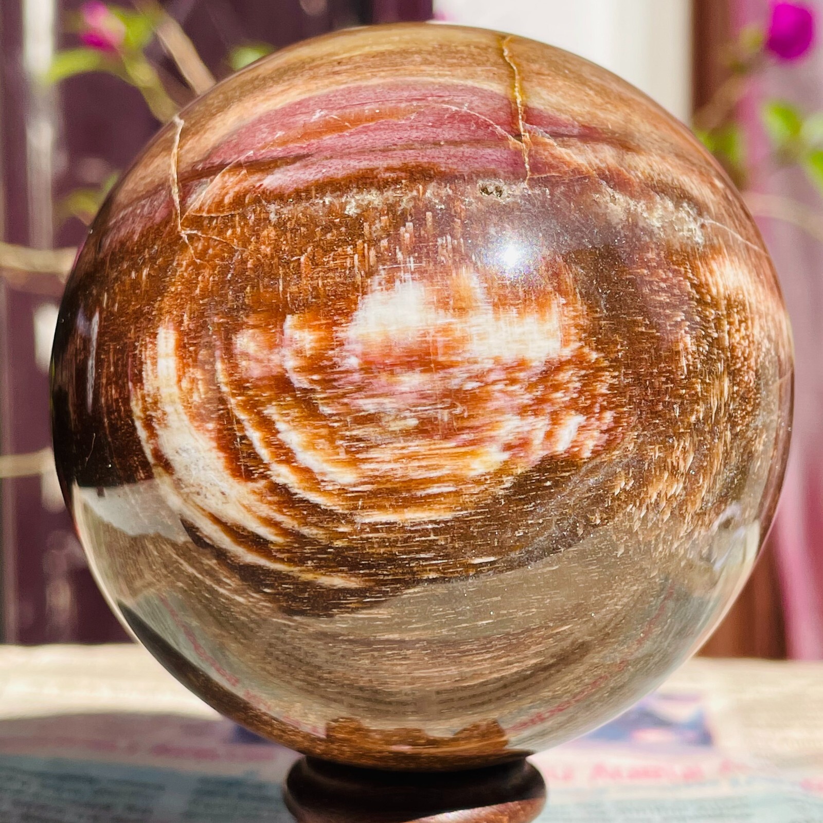640g Natural Red Petrified Wood Crystal Ball Fossil Polished Sphere Specimen