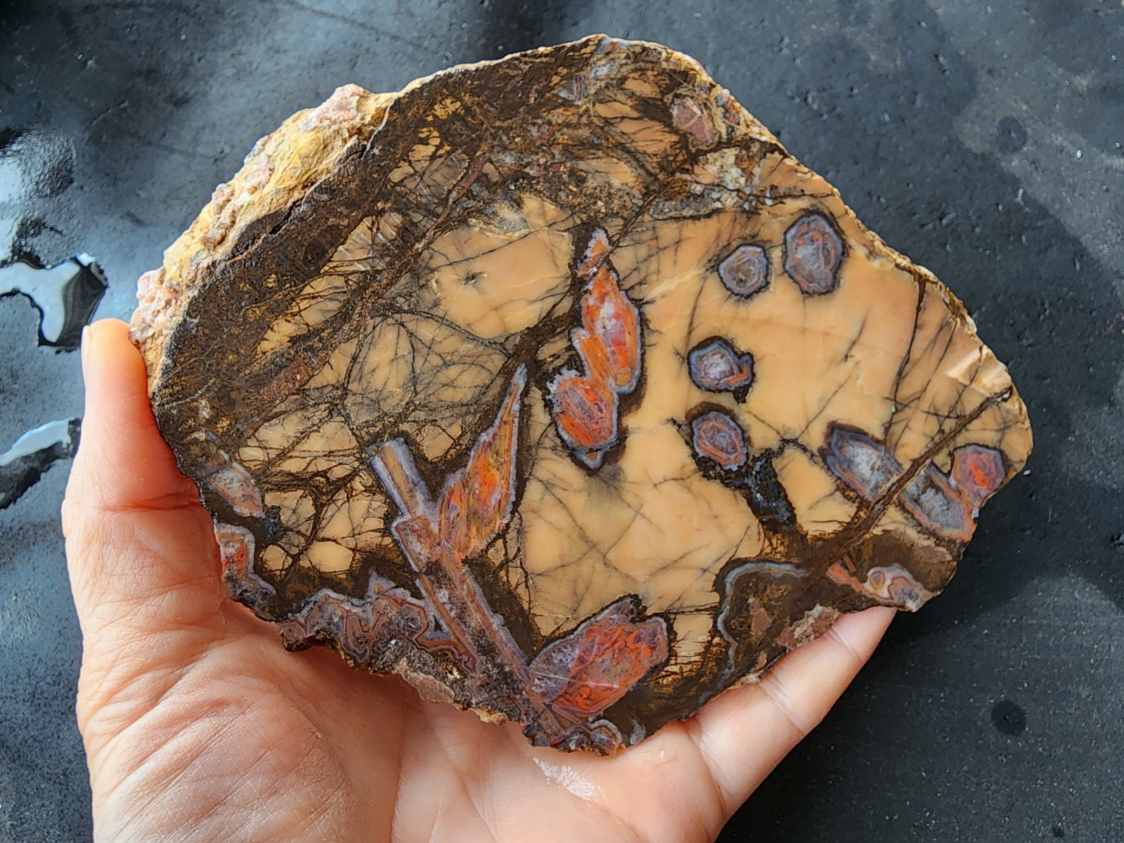 3.3 lbs (1.5 kg) Unpolished Agate, Almus Agate, Large Agate Pair, アゲートのペア, العقي