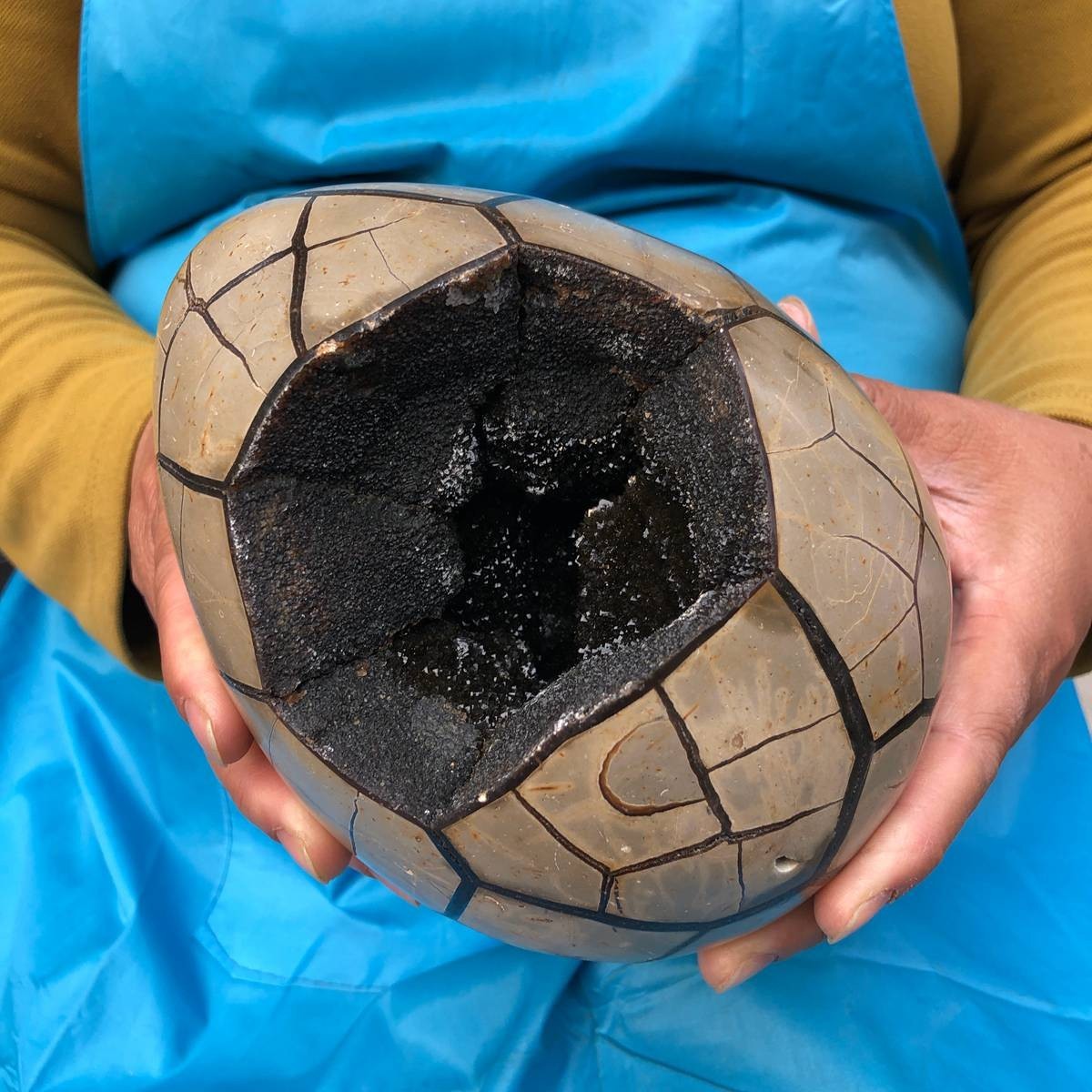 7.23LB Natural Septarian Dragon Egg Geode with Lid Reiki Energy Healing Crystal