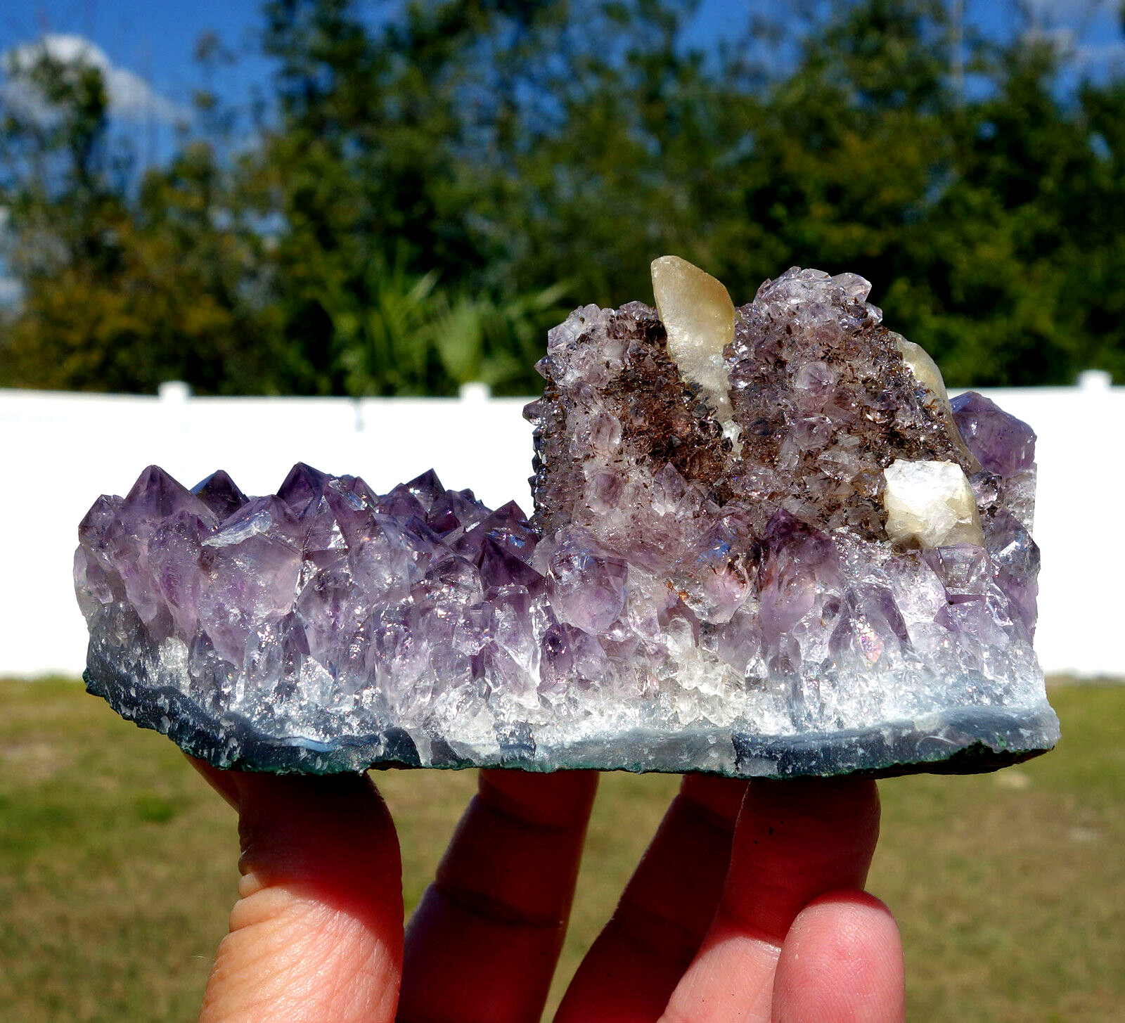 DOGTOOTH CALCITE in Amethyst Flower Quartz Crystal Point a Uruguay STALACTITE