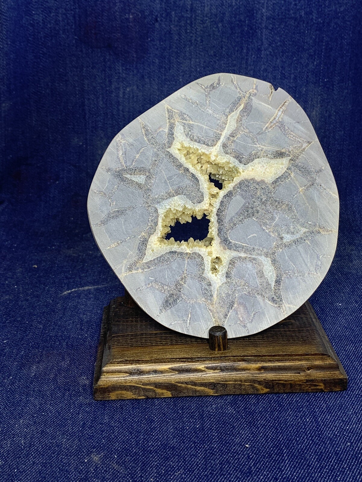 Septarian Nodule Hollow Slab ( Utah)with Stand And Description Card