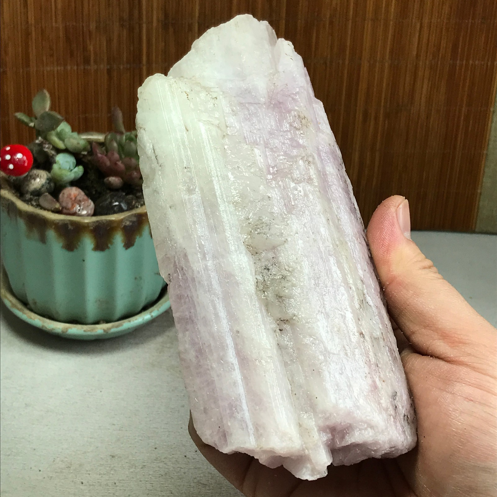 170-78-40mm NATURAL ROUGH KUNZITE PINK SPODUMENE CRYSTALS 830g A4613