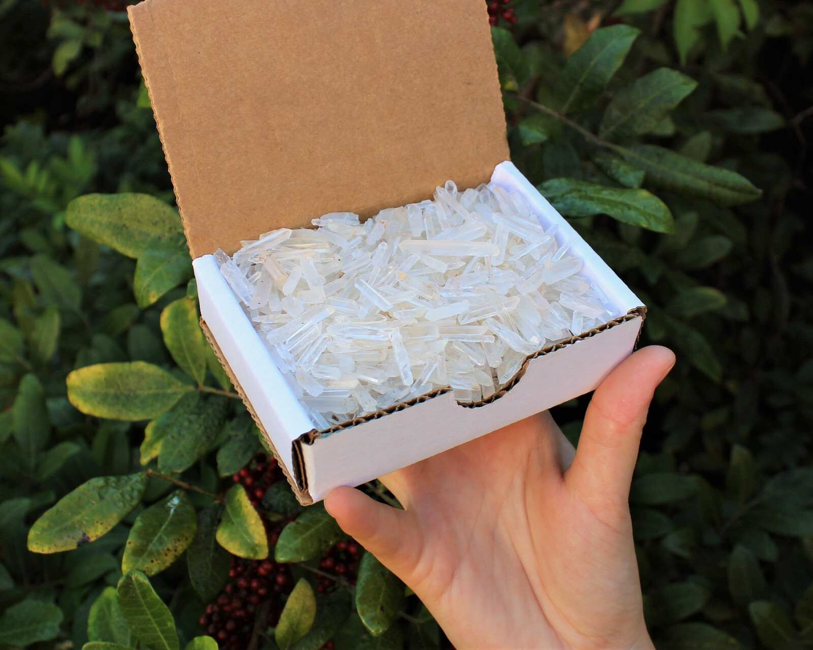 Tiny Natural Matchstick / Jewelry Quartz Crystal Points 1/2 lb (8 oz) Box Lot