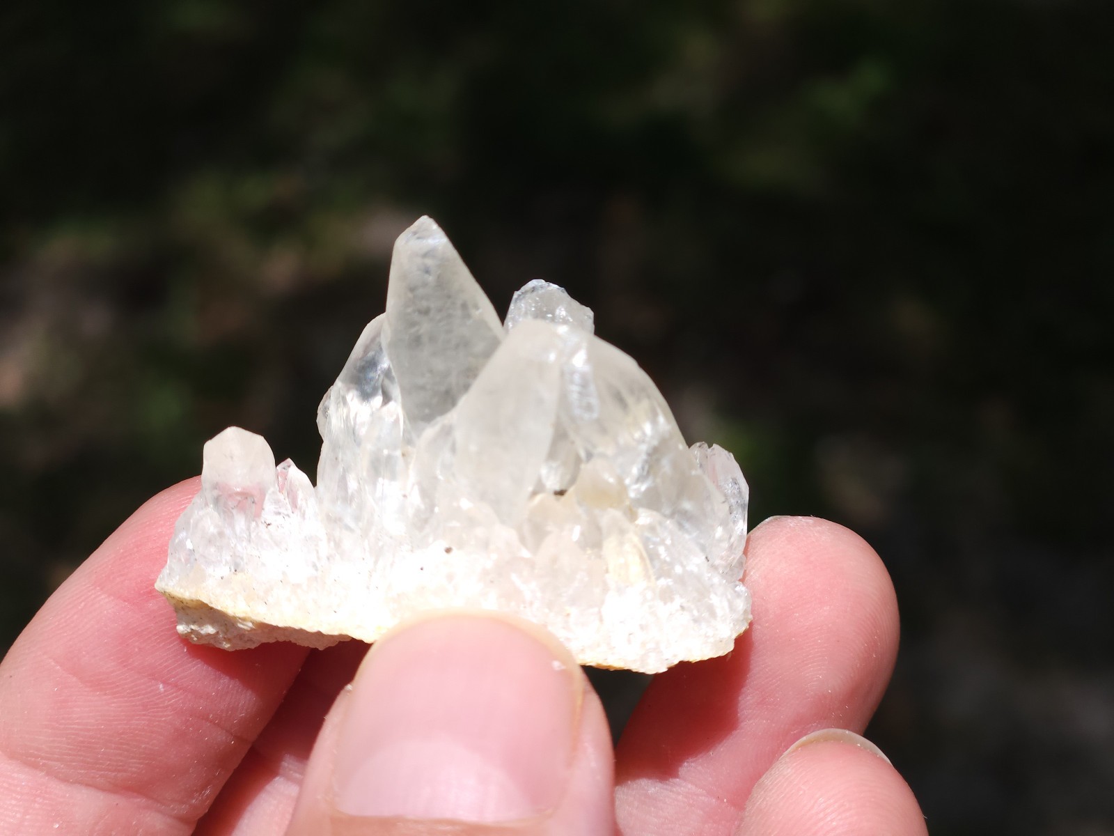 Florida Calcite Crystal Collection 5 pieces LOT Honey Clusters UV Mineral