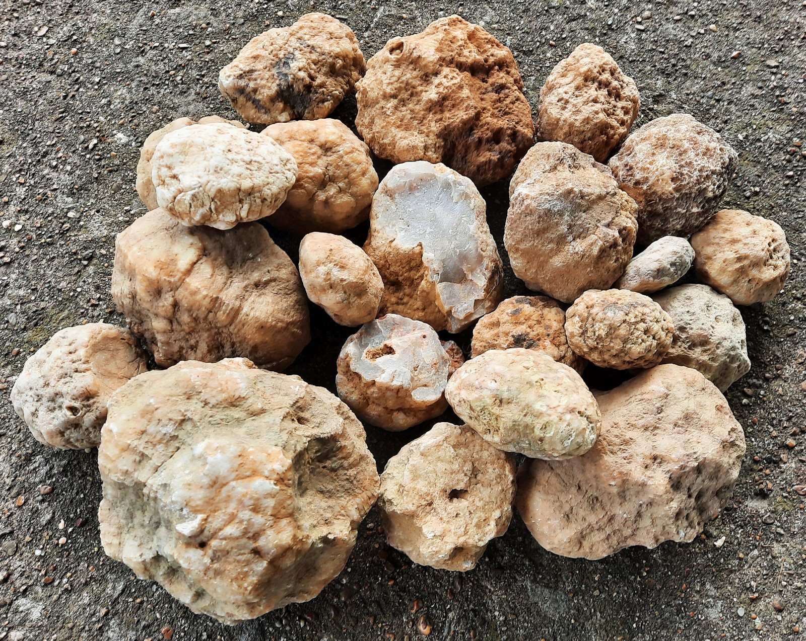 10 Lbs Bulk Lot Unopen Crystal Nodules Natural Semi Solid-Break Your Own Geodes
