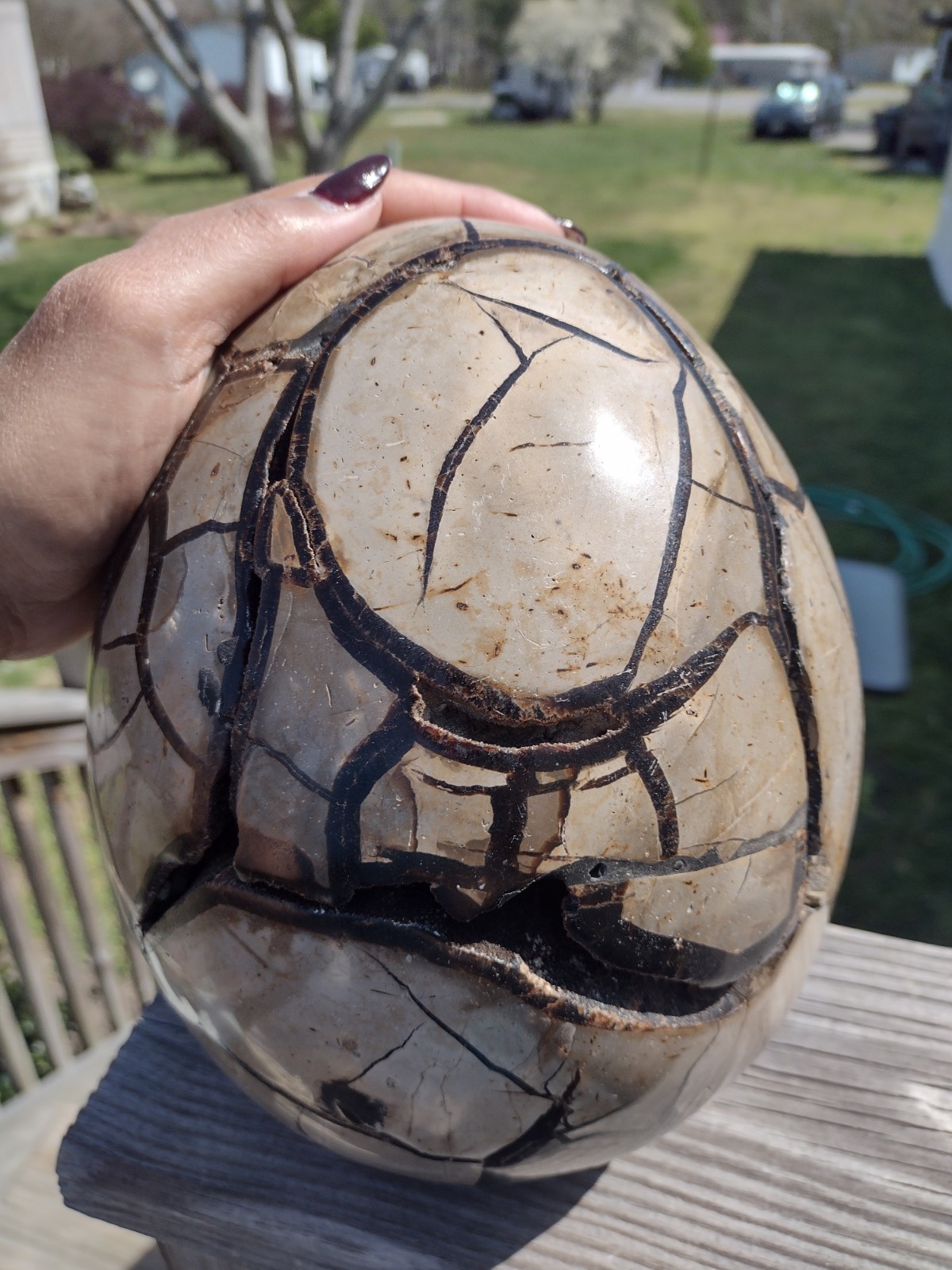Huge Septarian Dragon Egg Over 15lbs Carving Crystal Stone Polished