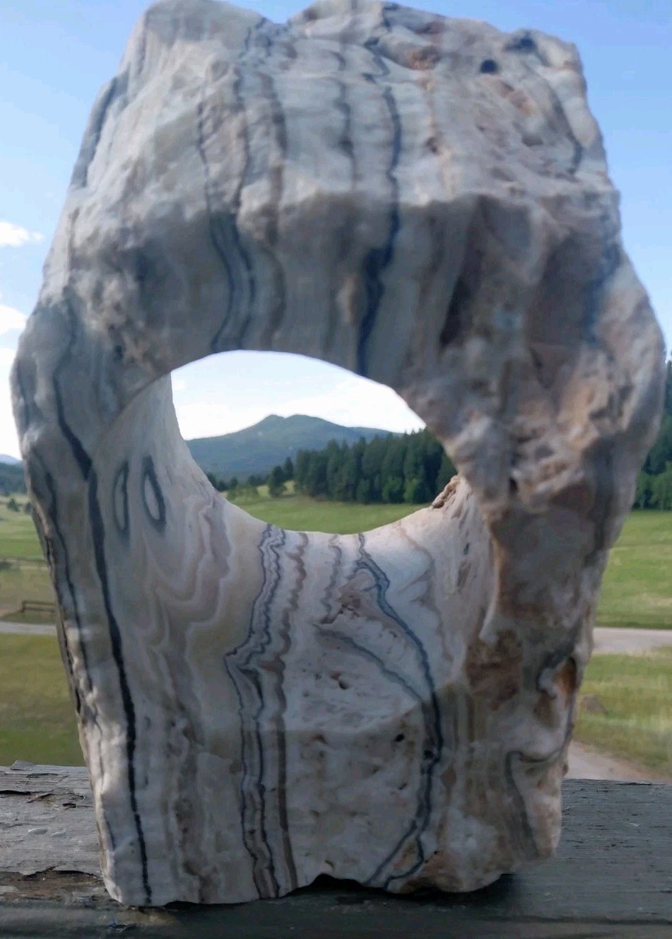 13.25Lb Zebra Calcite W CORED 4″ “Window” Display UV+ Bands Wrap Unique Décor