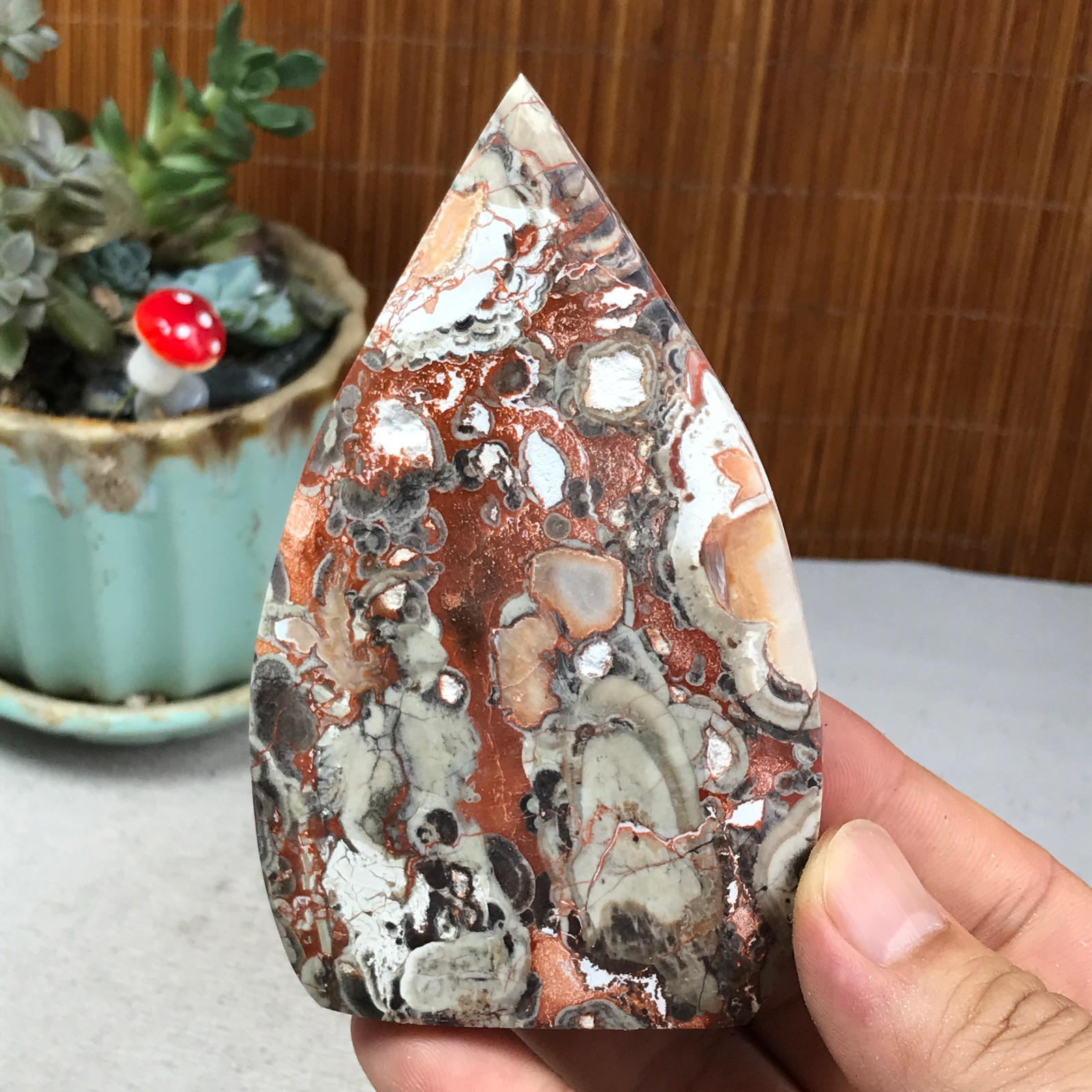 Natural money Mexico agate hand carve leaf Crystal Specimen free standing A6260