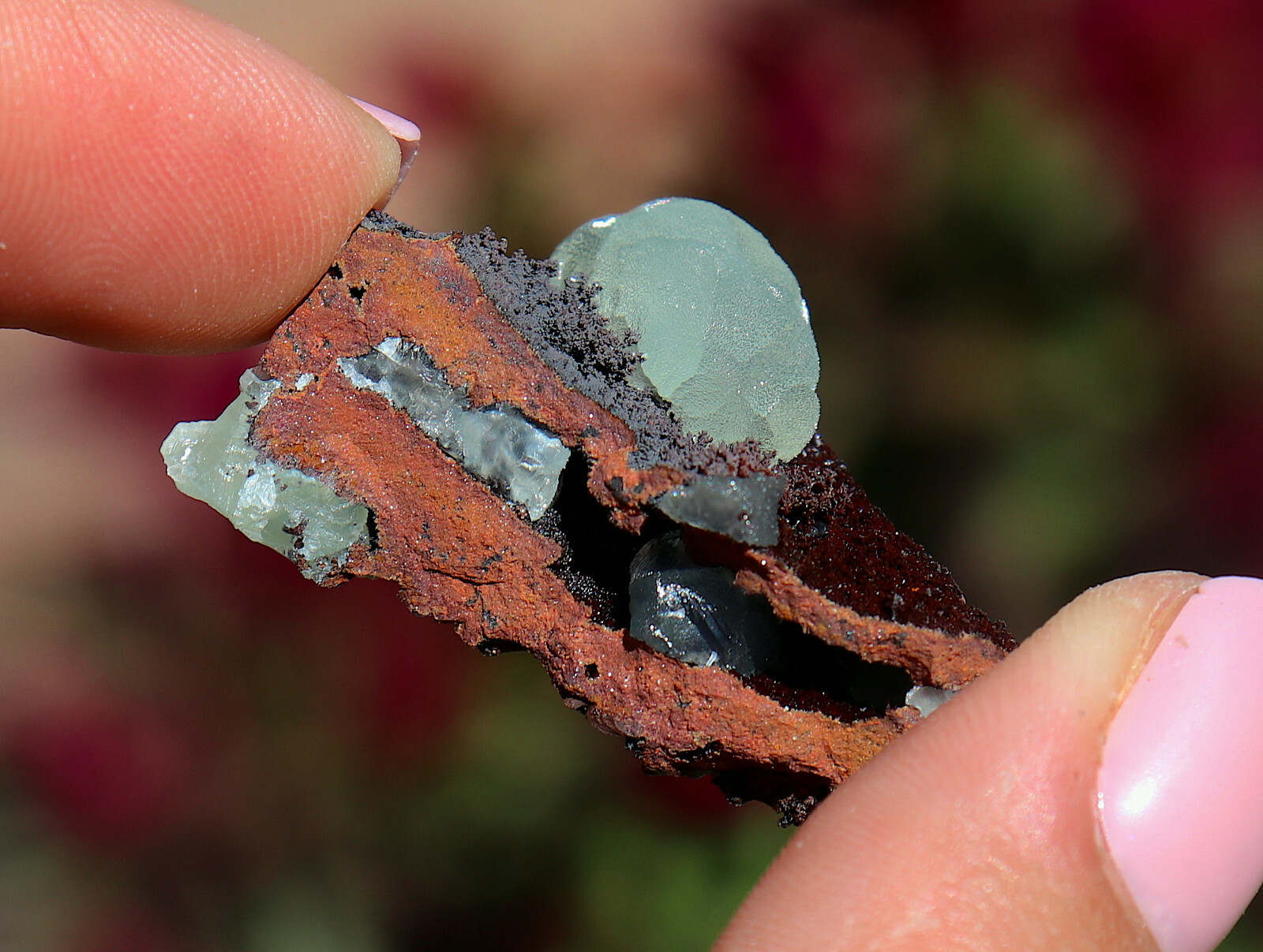 Smithsonite And Hemimorphite On Matrix From Mexico 3.7 Cm’s