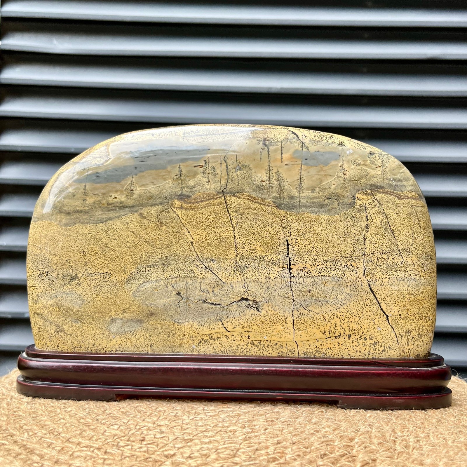 Natural Scenic Stone Display Polished Pattern Art w/ Wood Stand 4.1 lb