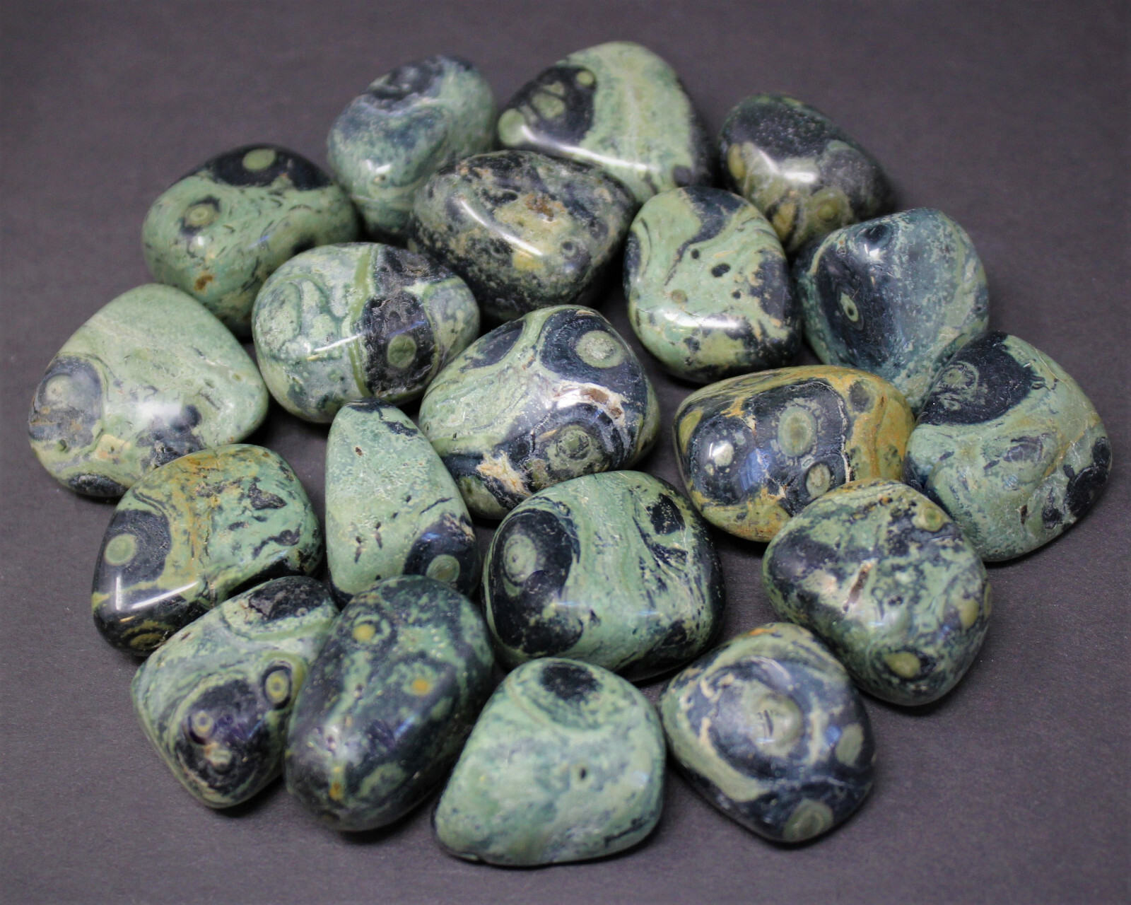 1/4 lb Bulk Lot Kambaba Jasper Tumbled Stone (Crocodile Jasper) 4 oz