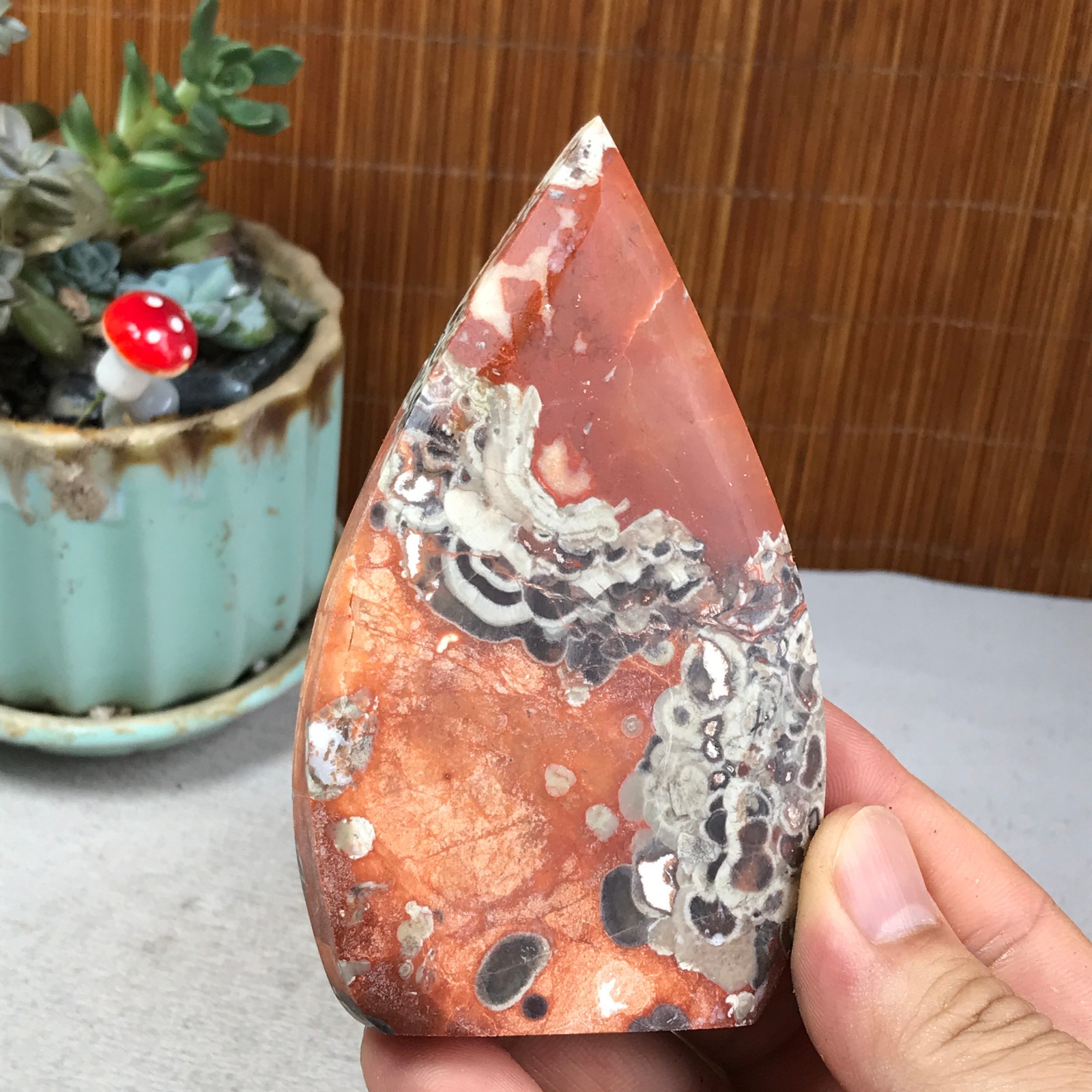 Natural money Mexico agate hand carve leaf Crystal Specimen free standing A6261