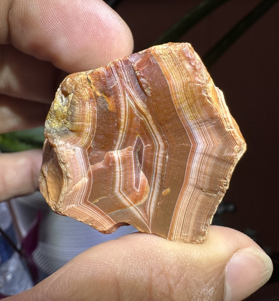 2.15 oz Lake Superior Very High-Quality Agate Fire Peeler Top Shelf Opaque Paint