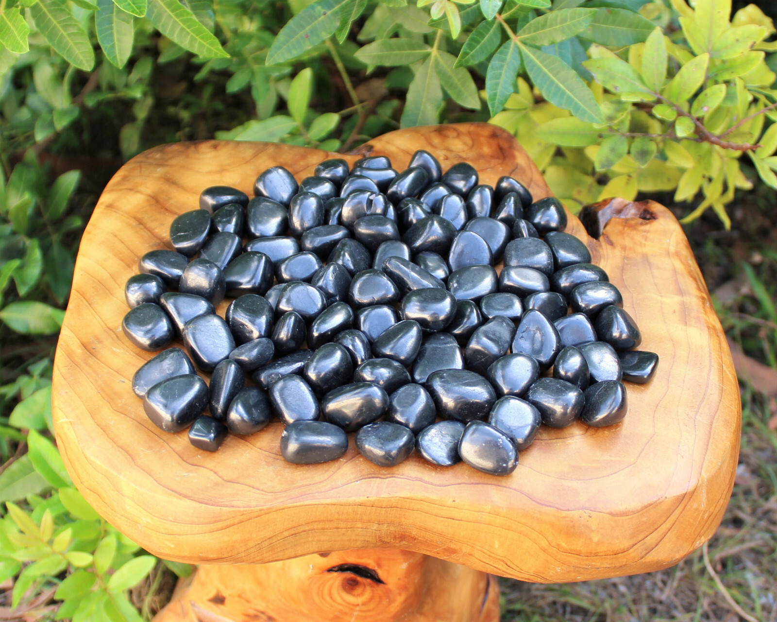 5 Shungite Specimen Tumbled Stones: Medium (Crystal Healing Gemstone Reiki)