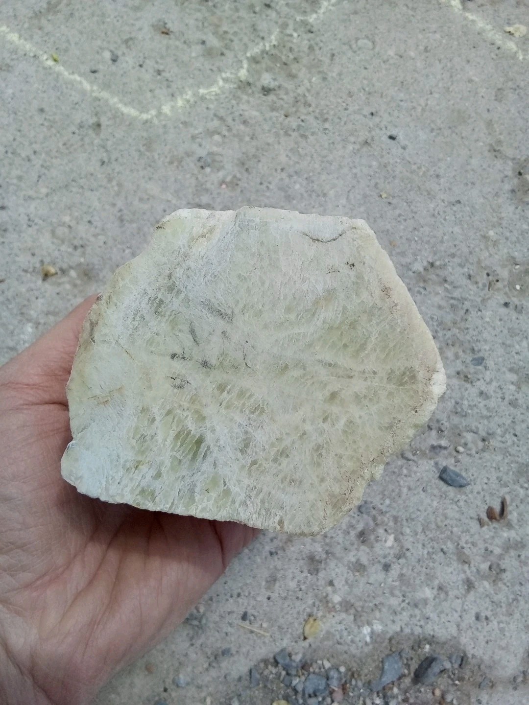 Nearly Two Pound Beryl Crystal! (1.8 Lbs)