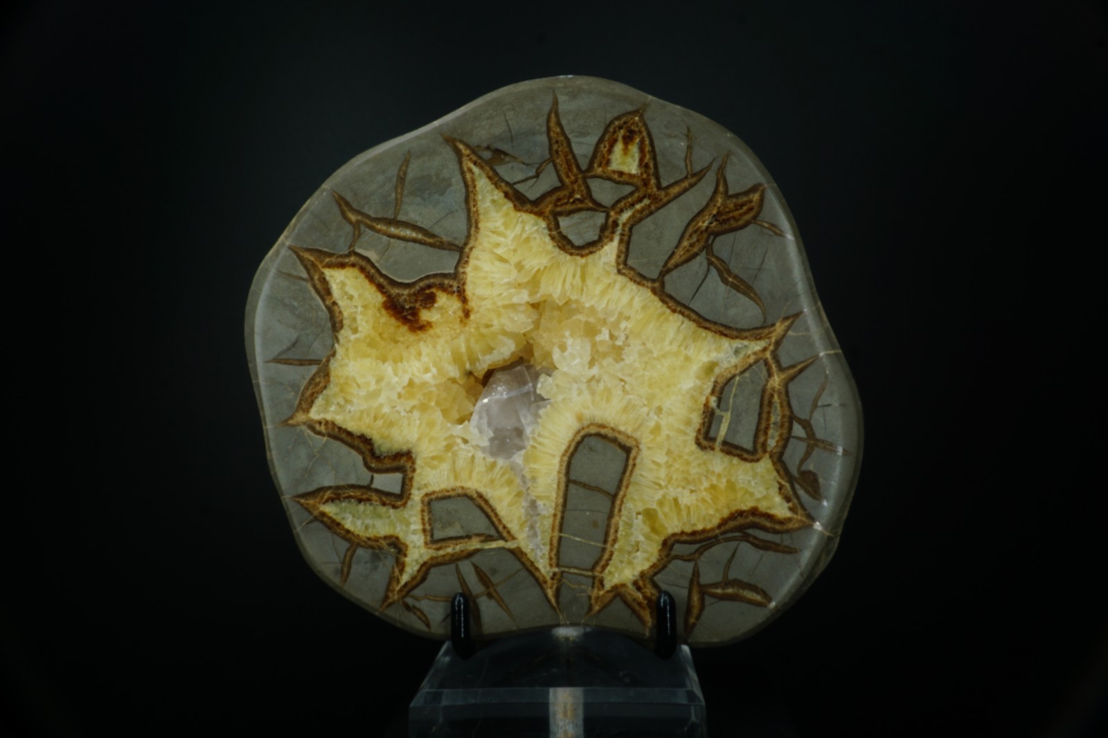 Septarian Nodule with Barite Crystal / Mount Carmel Junction, Utah / Large Polis