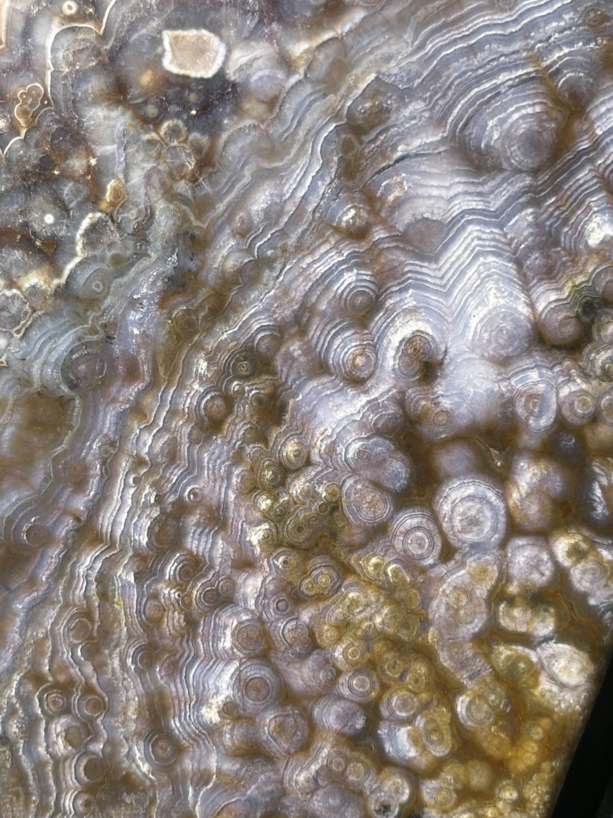 Rare Luna Agate Standing Free Form Hand Made Polished Specimen Purple Orbs